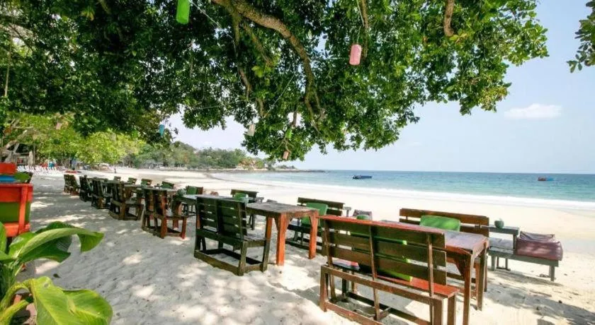 Greenplace-Samed Seahorse