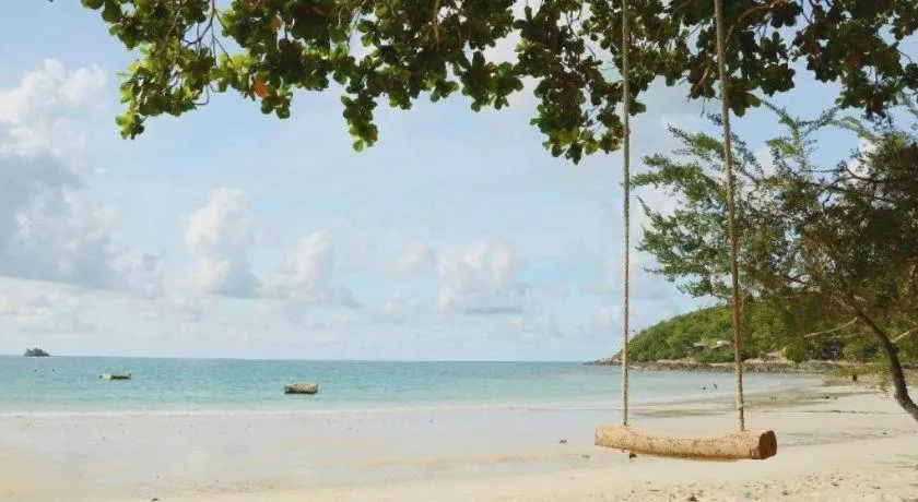 Greenplace-Samed Seahorse