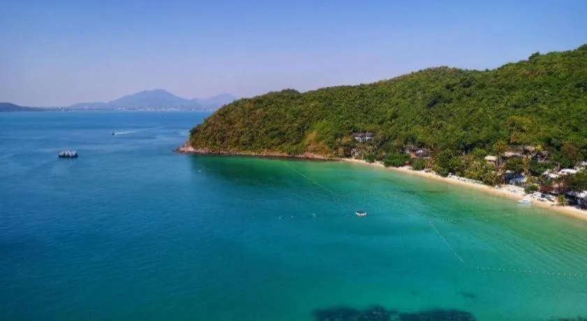 Greenplace-Samed Seahorse