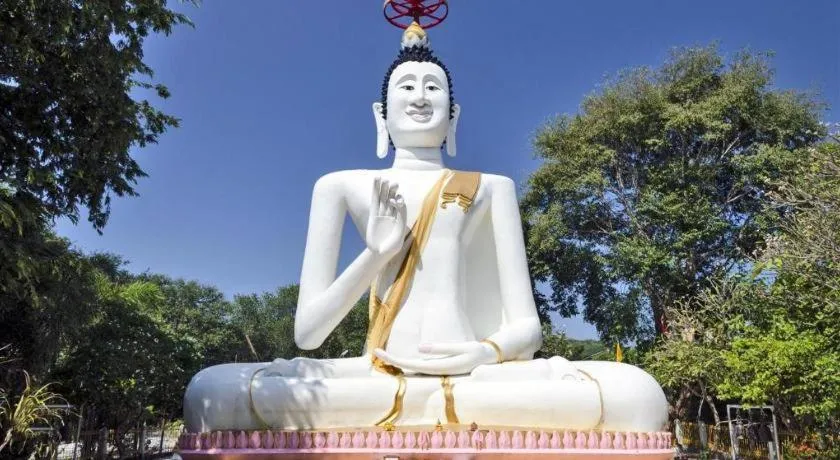 Greenplace-Samed Seahorse