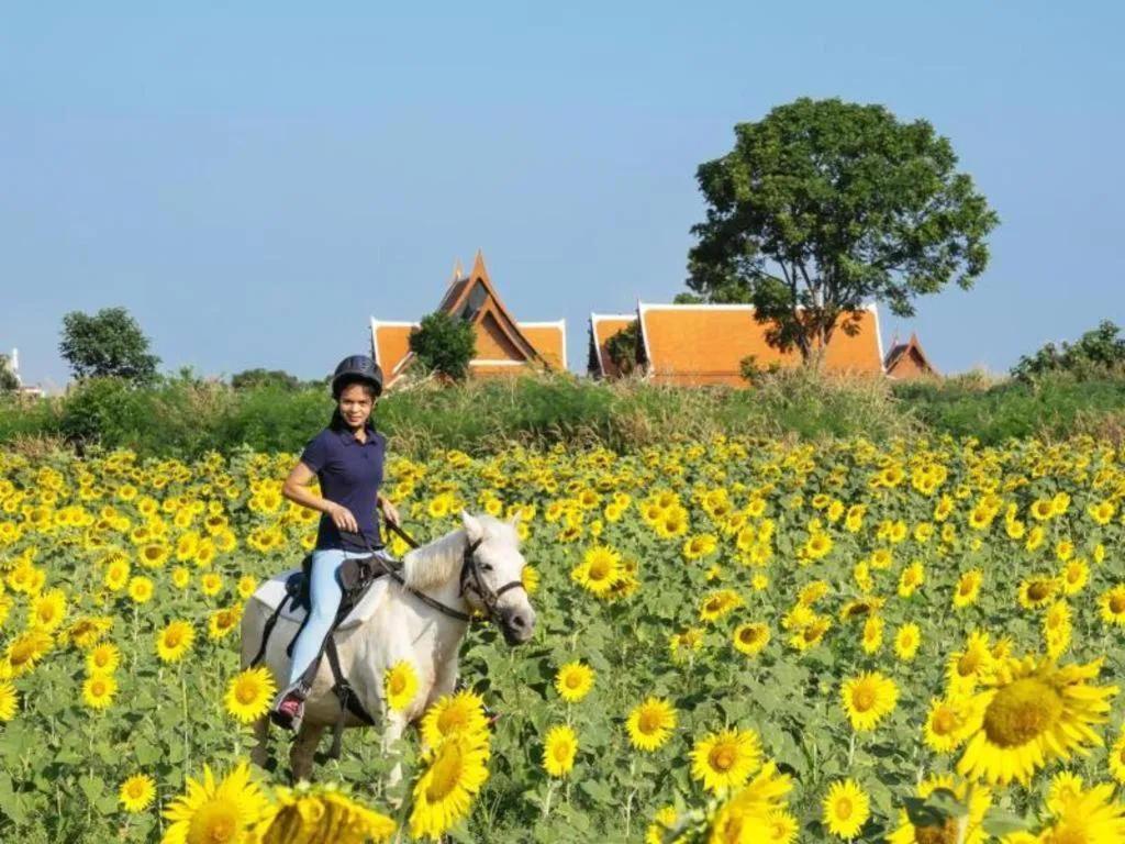 Baan Souchada Resort & Spa