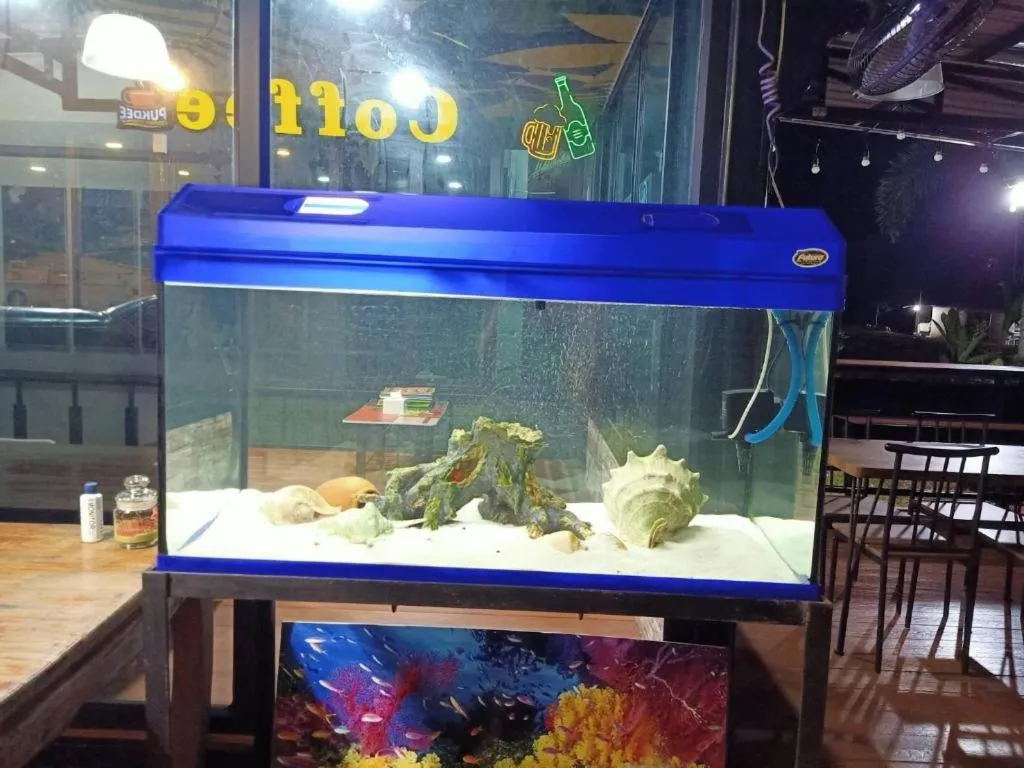 Koh Chang Pukdee Bungalow