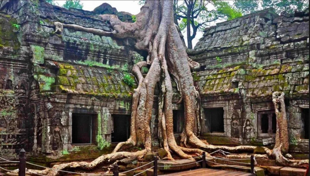 The Grand Cyclo Boutique Suite & Spa