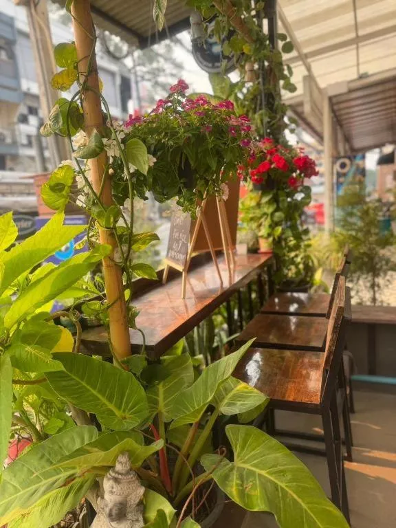 Chiang Mai Panda Hostel