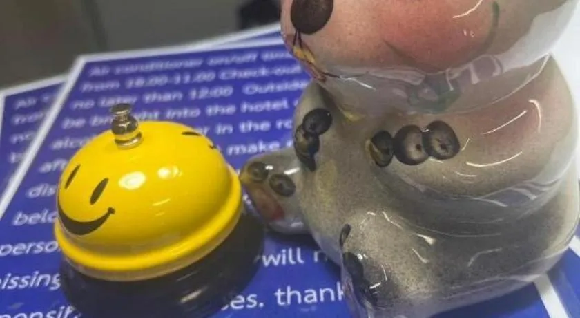 Chiang Mai Panda Hostel