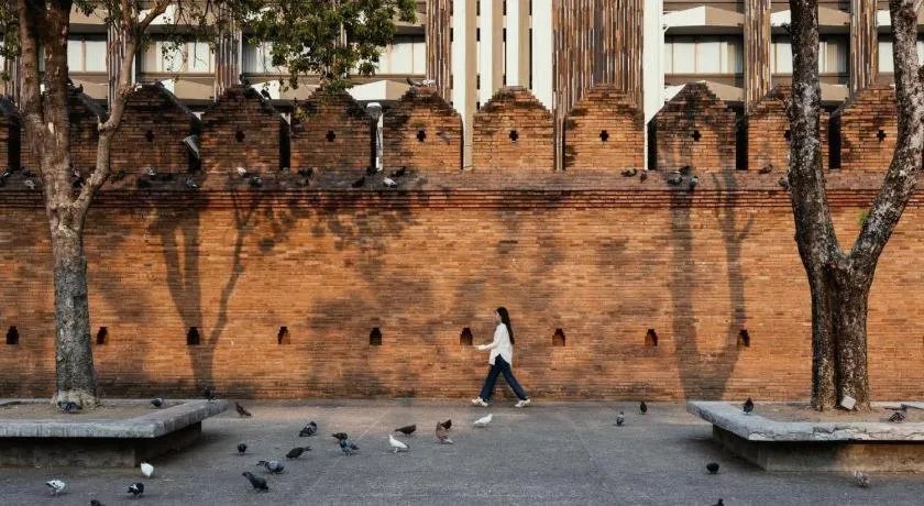 Chiang Mai Panda Hostel