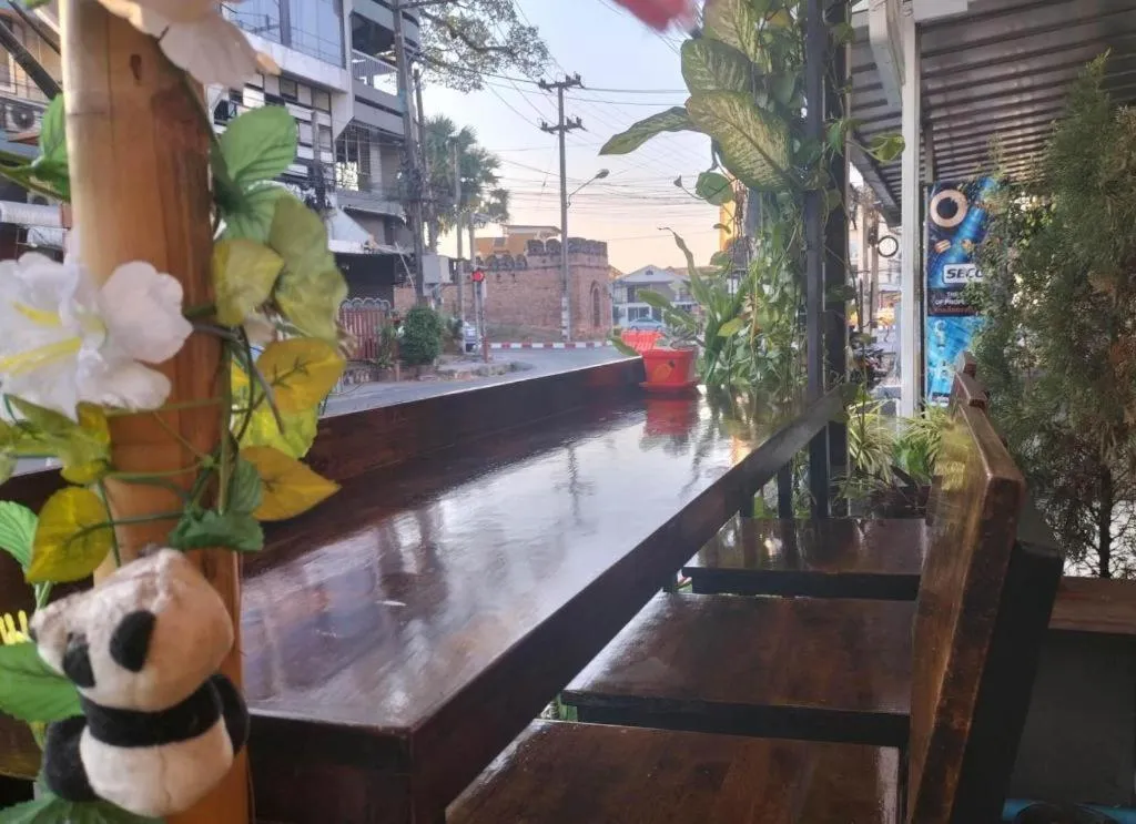 Chiang Mai Panda Hostel