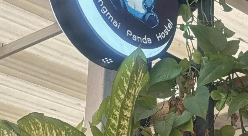 Chiang Mai Panda Hostel
