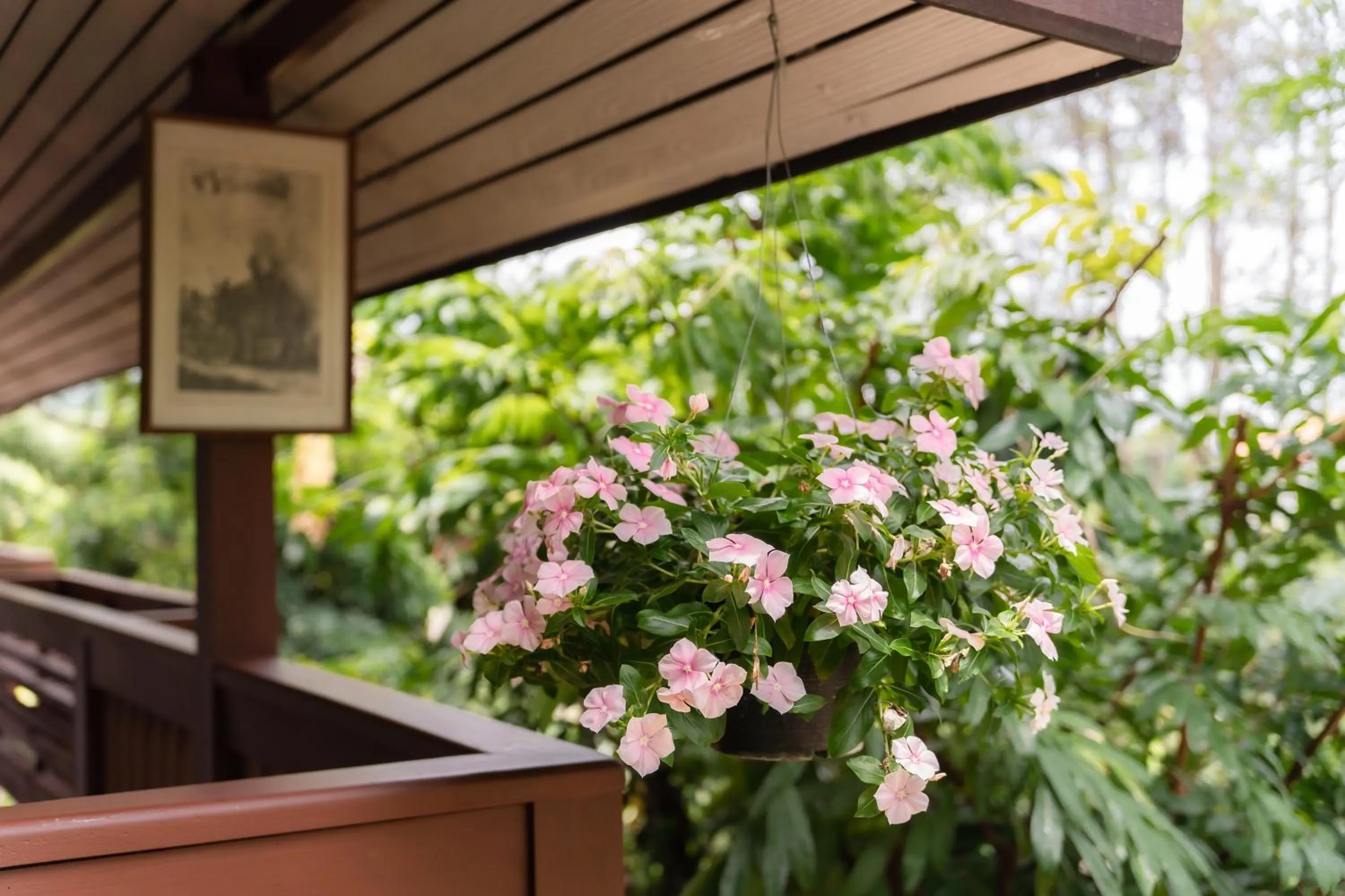 Garden view in Guru Resort Chiang Mai