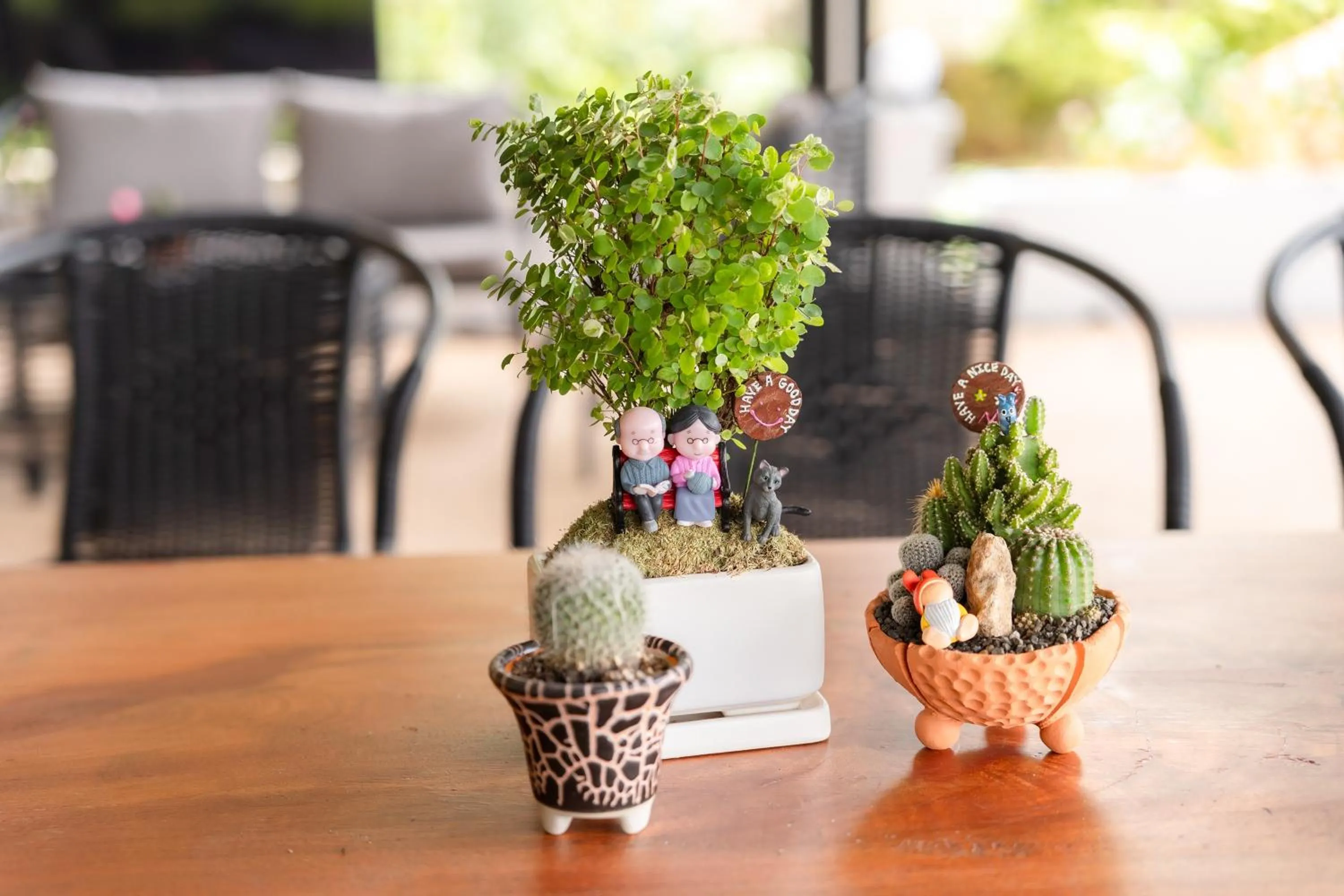 Garden view in Guru Resort Chiang Mai