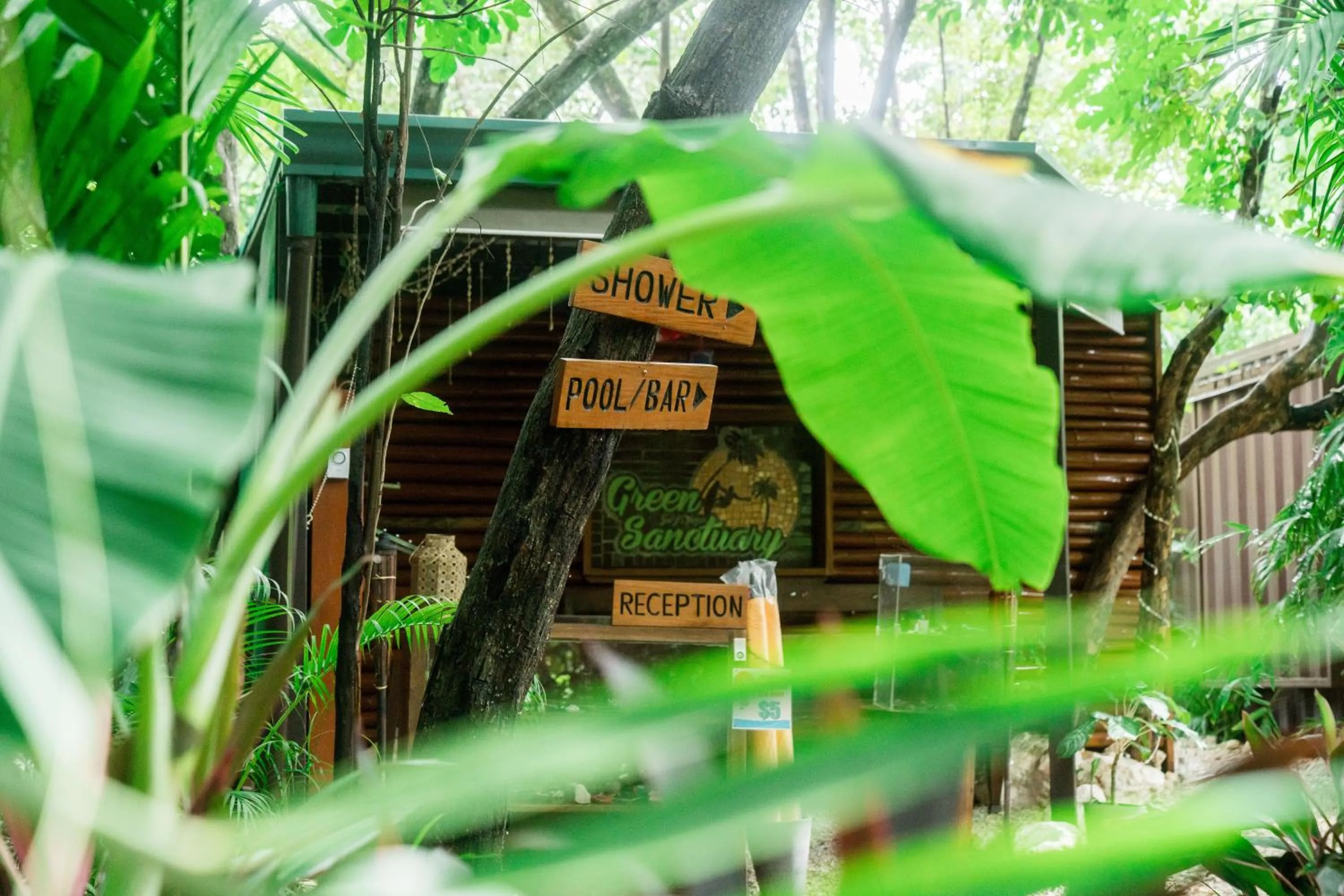 Lobby or reception in Green Sanctuary Hotel