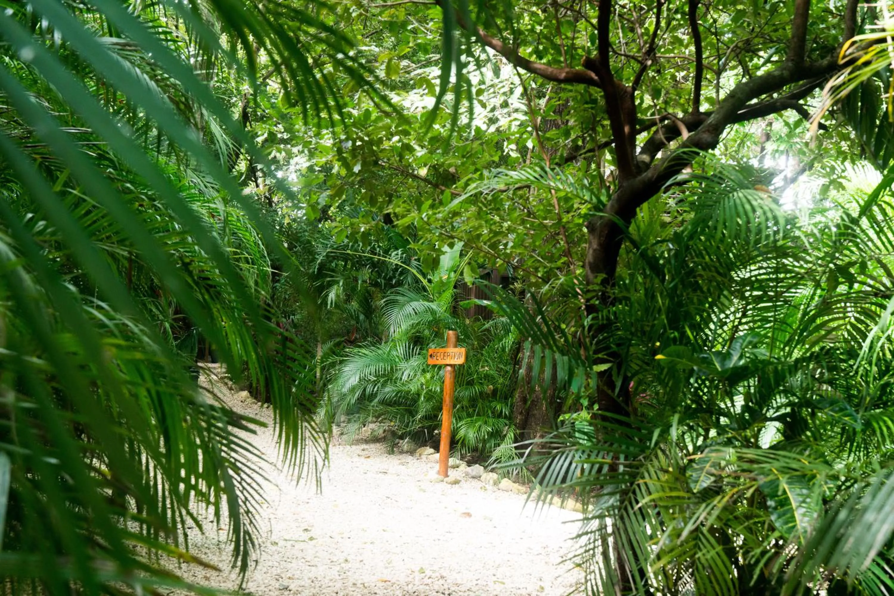 Lobby or reception in Green Sanctuary Hotel