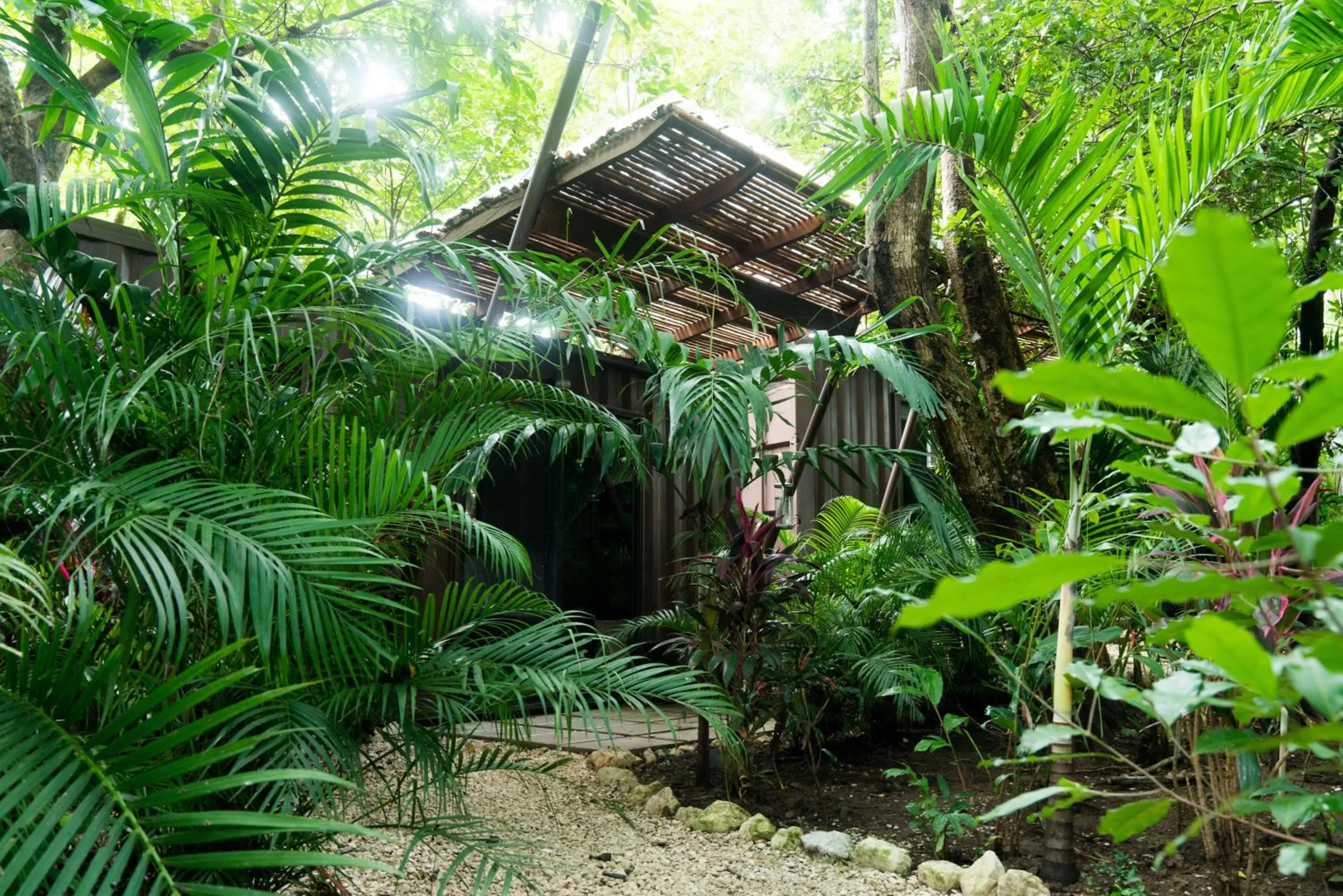 Garden in Green Sanctuary Hotel