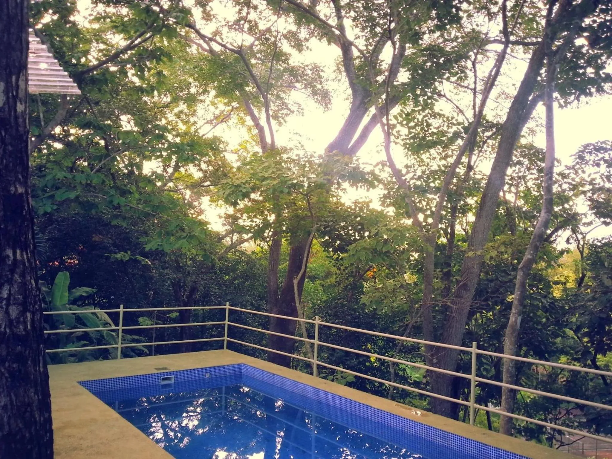 Swimming pool in Green Sanctuary Hotel