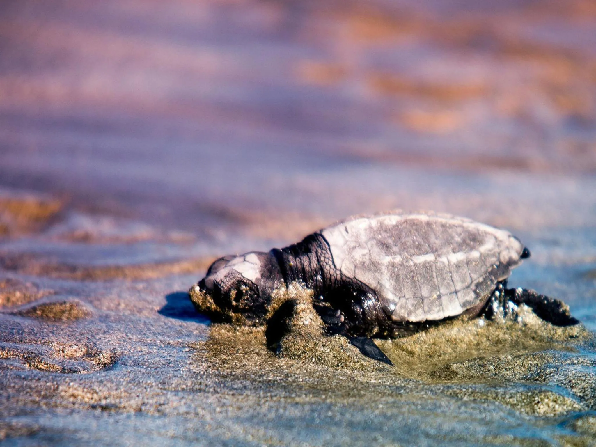 Area and facilities in Green Sanctuary Hotel