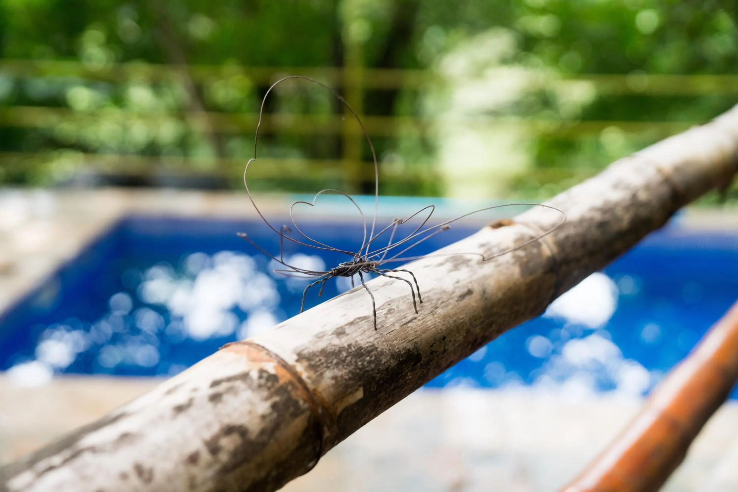 Restaurant/places to eat in Green Sanctuary Hotel