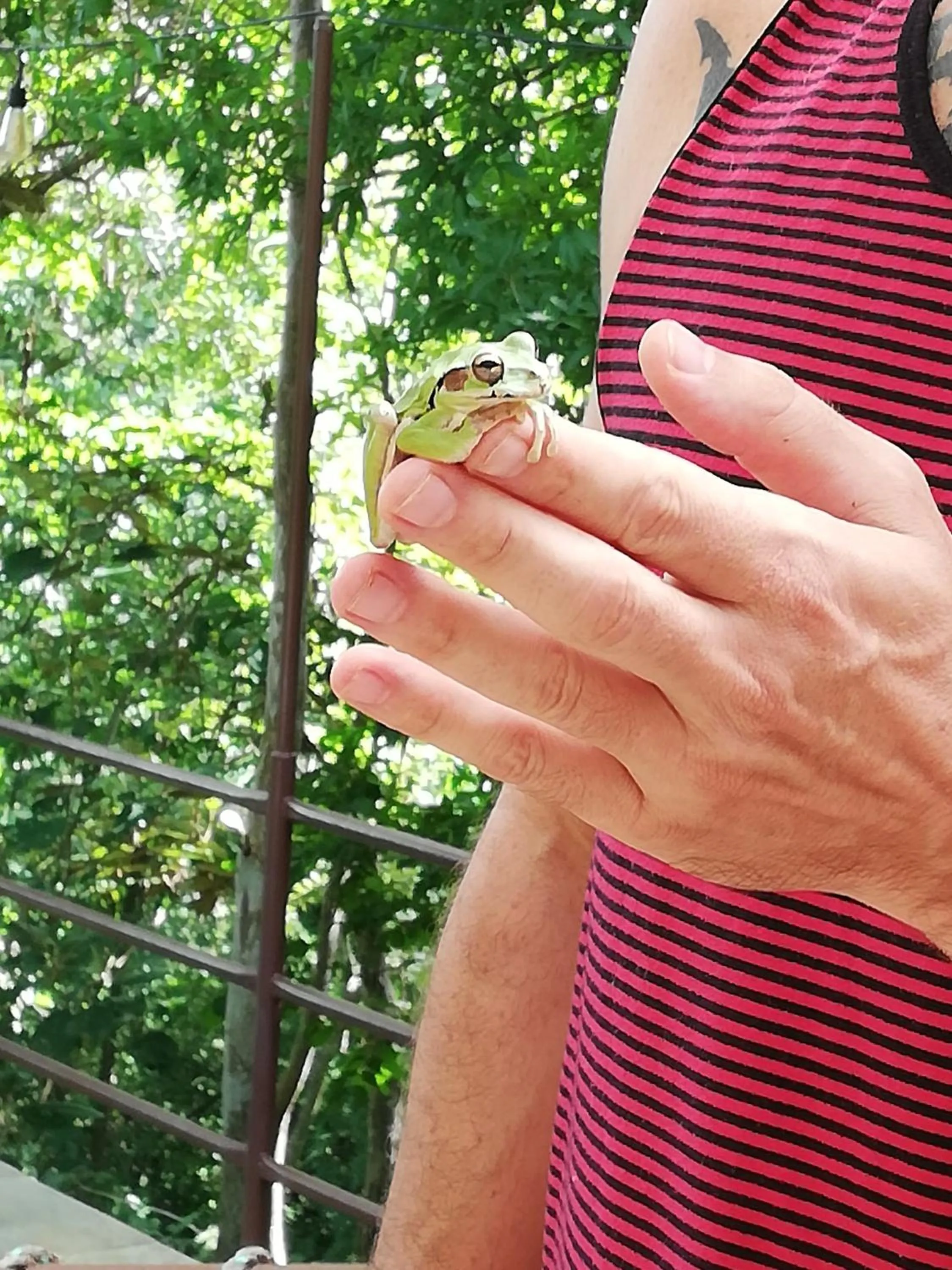 Patio in Green Sanctuary Hotel