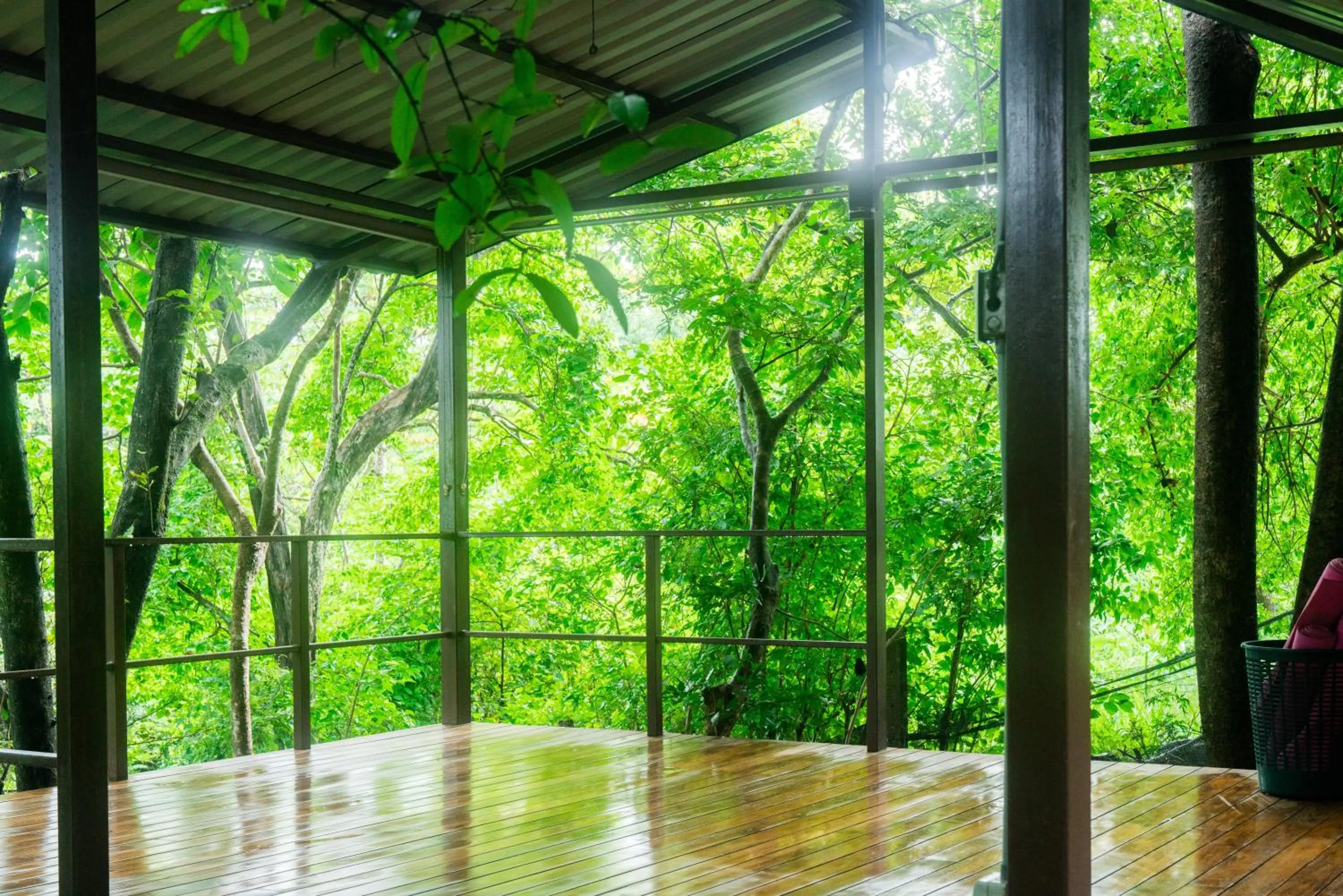 Patio in Green Sanctuary Hotel