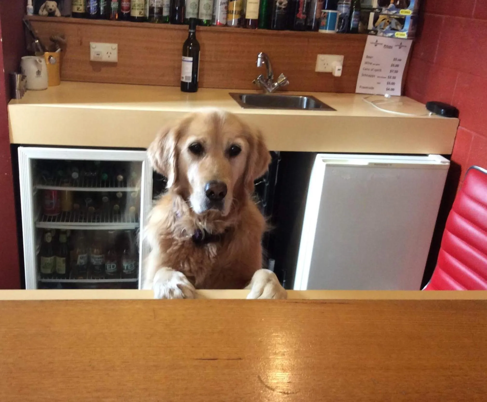 Lounge or bar in Cottonwood Lodge