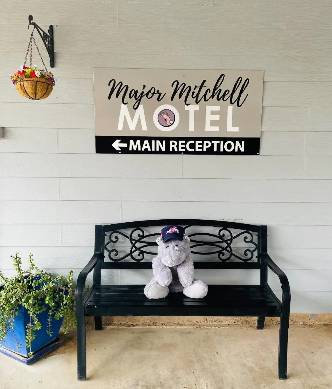 Lobby or reception in The Major Mitchell Motel