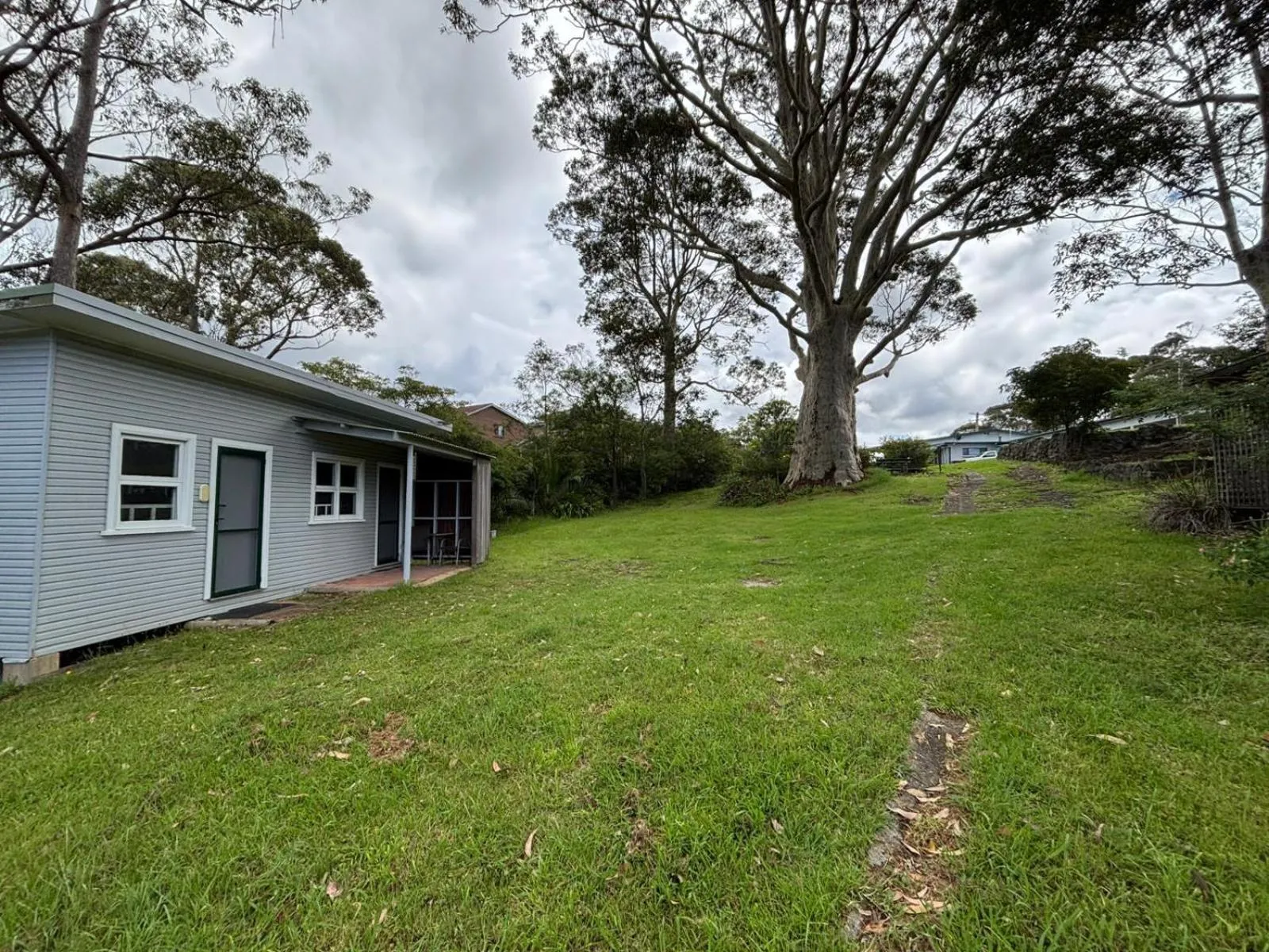 View (from property/room) in The Tree Motel