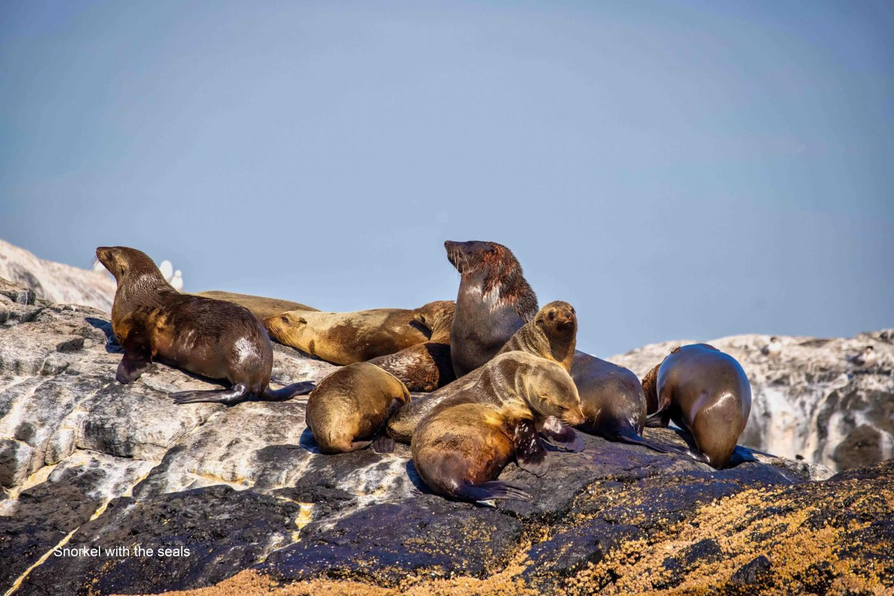 Nearby landmark in The Tree Motel