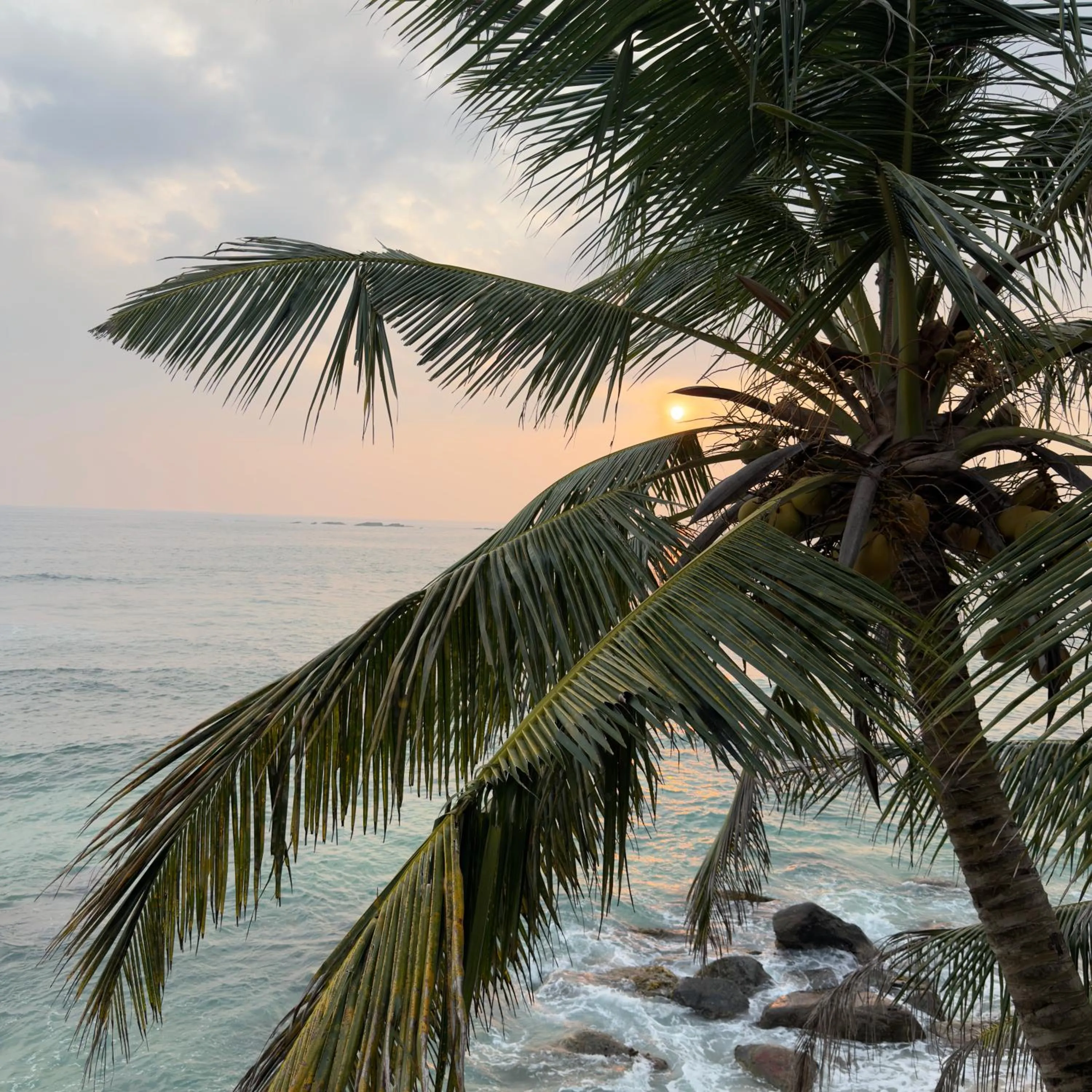 La Veranda Di Serena