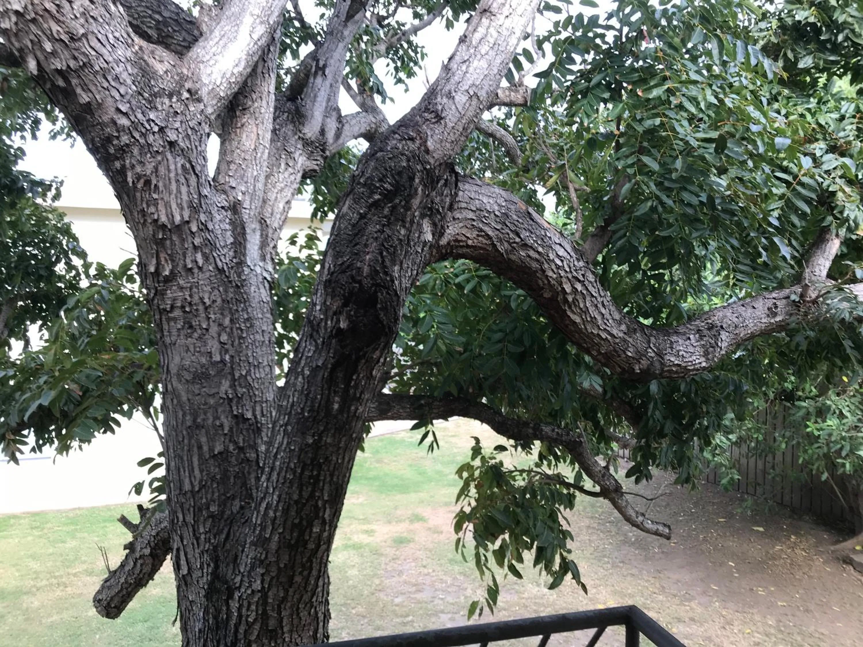 Garden in Ocean Breeze Units