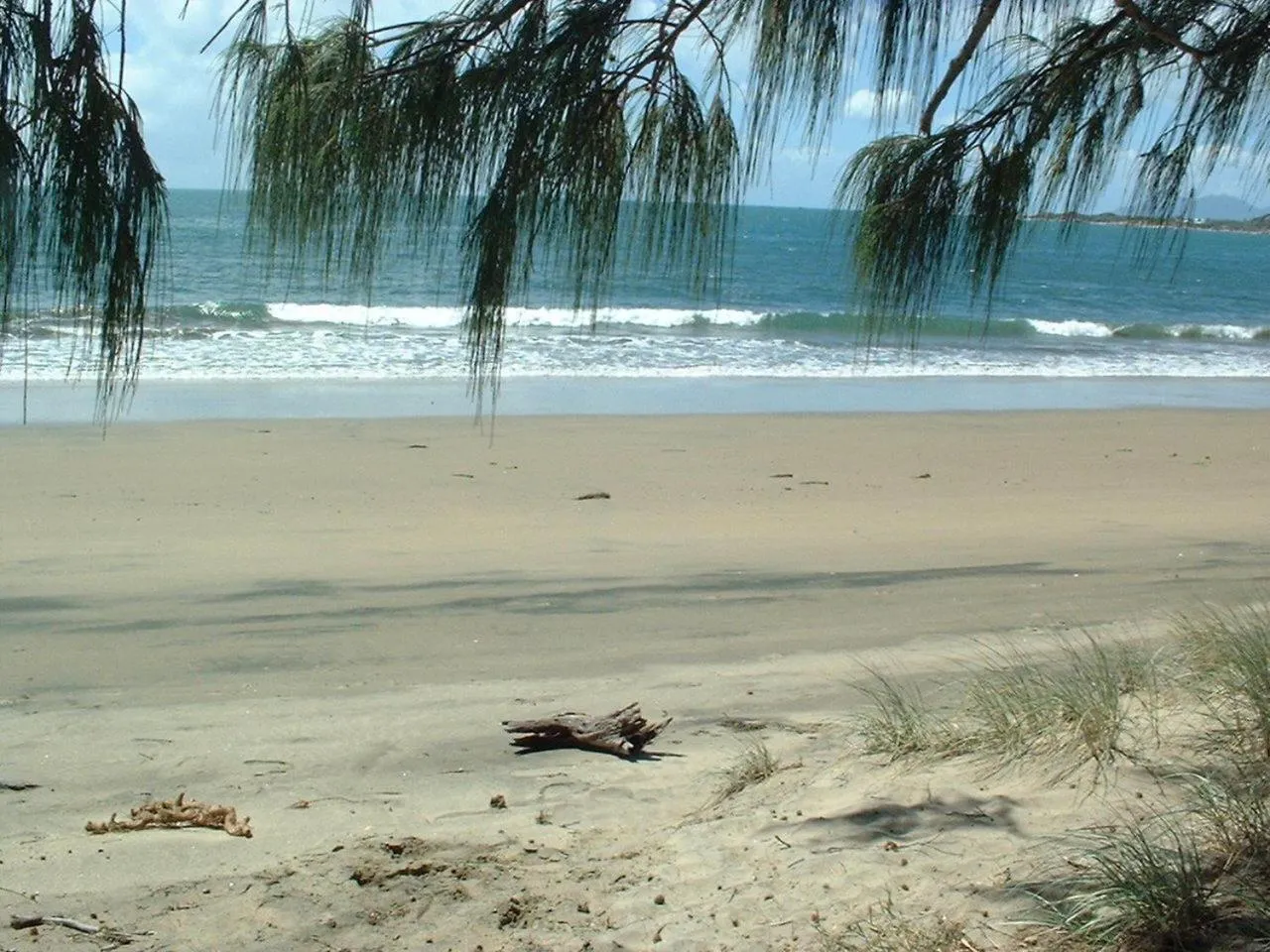 Natural landscape in Ocean Breeze Units