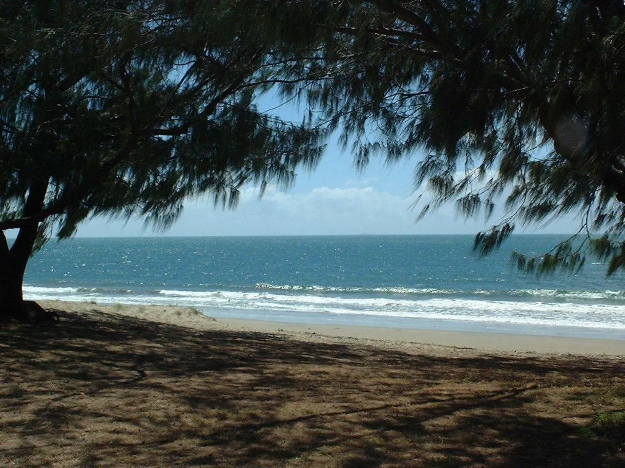 Natural landscape in Ocean Breeze Units