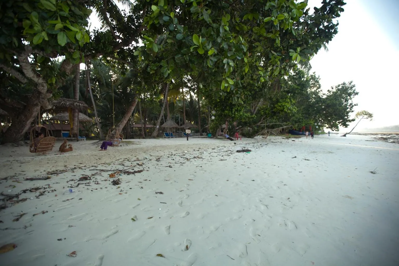 Beach in Symphony Palms Beach Resort And Spa