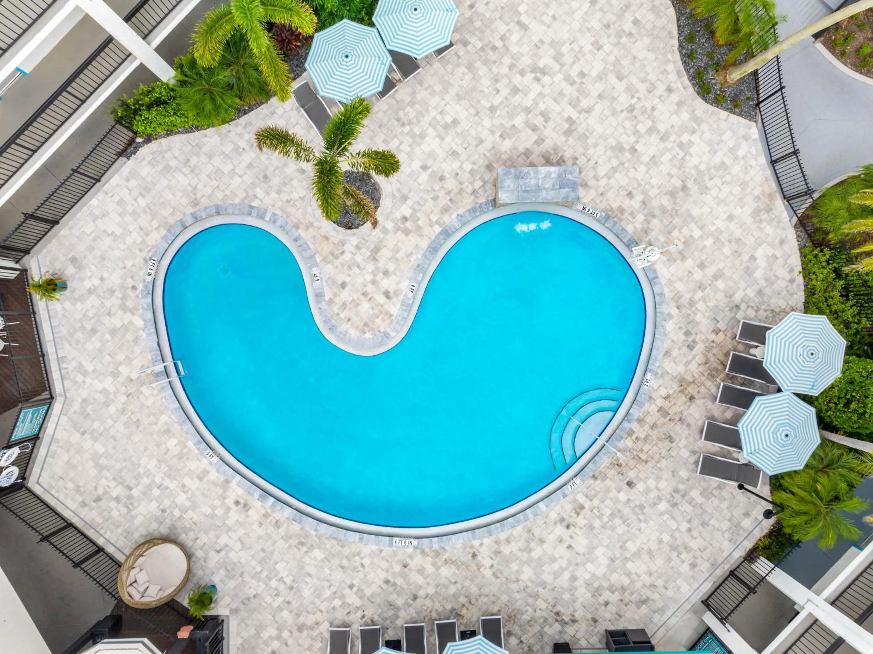Swimming pool in OASIS BAY SUITES, Tampa, Busch Gardens, USF