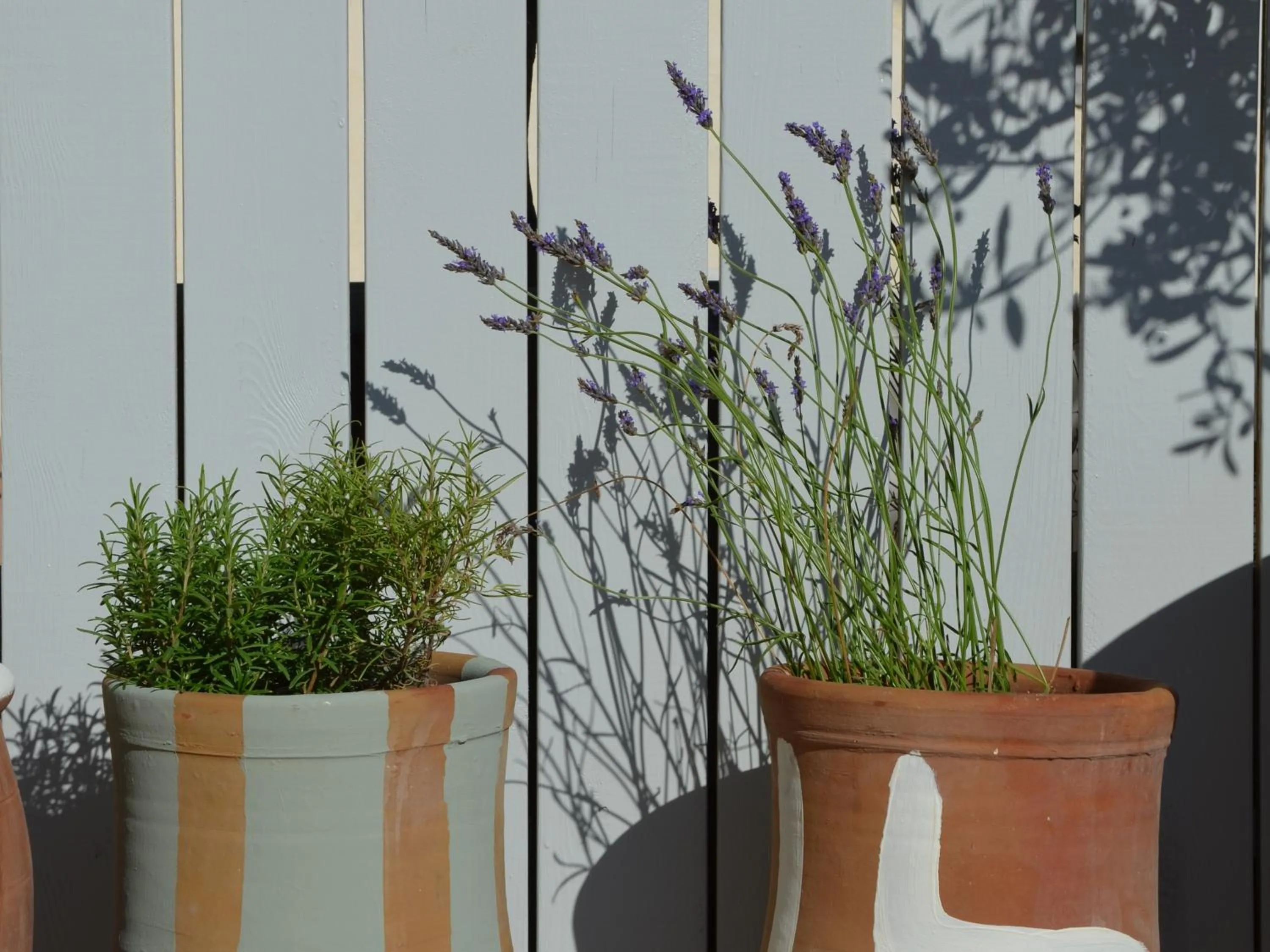 Balcony/Terrace in Hotel M Soleil - Montpellier Centre Saint Roch