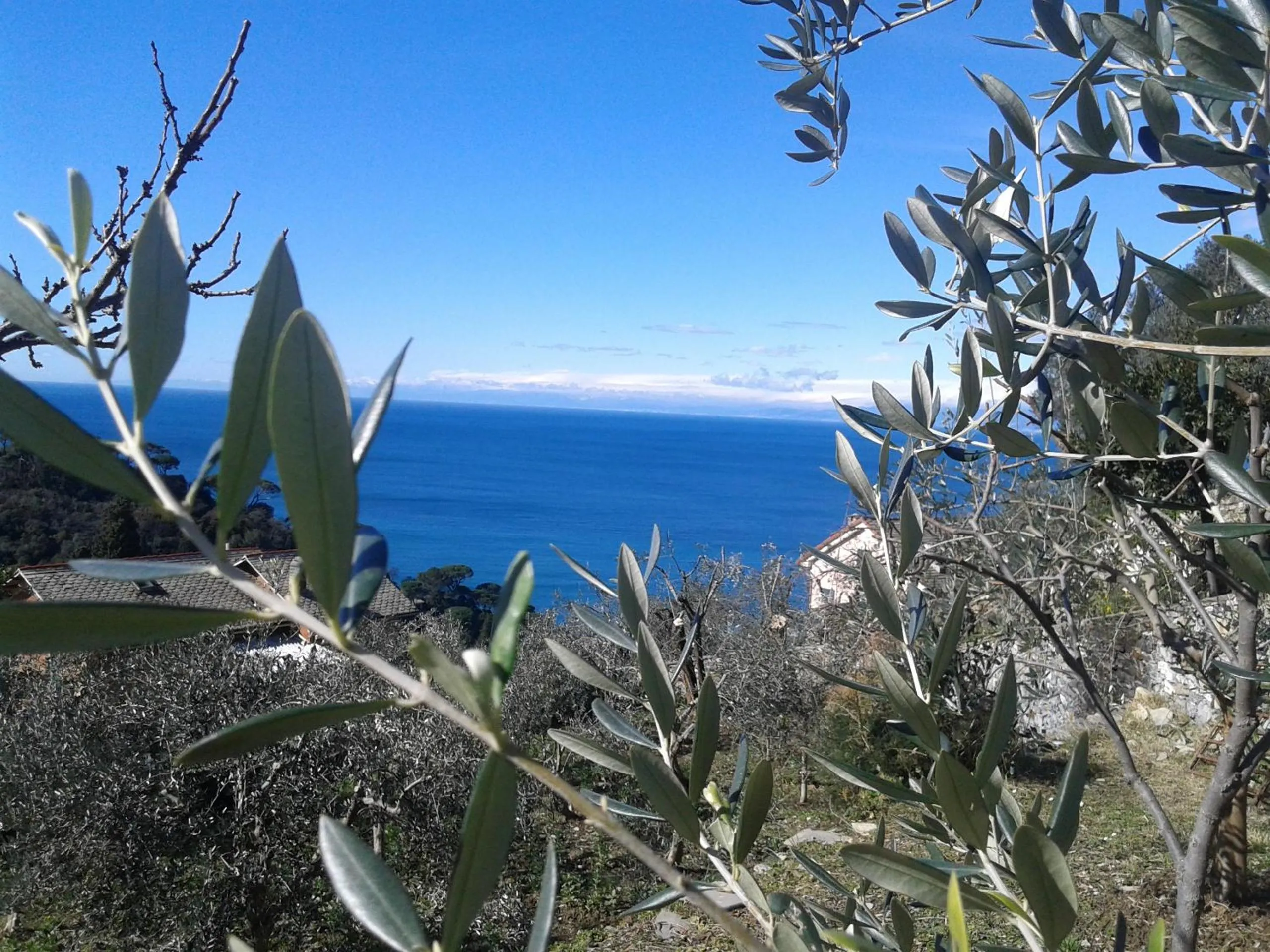 Winter in Le Clementine B&B