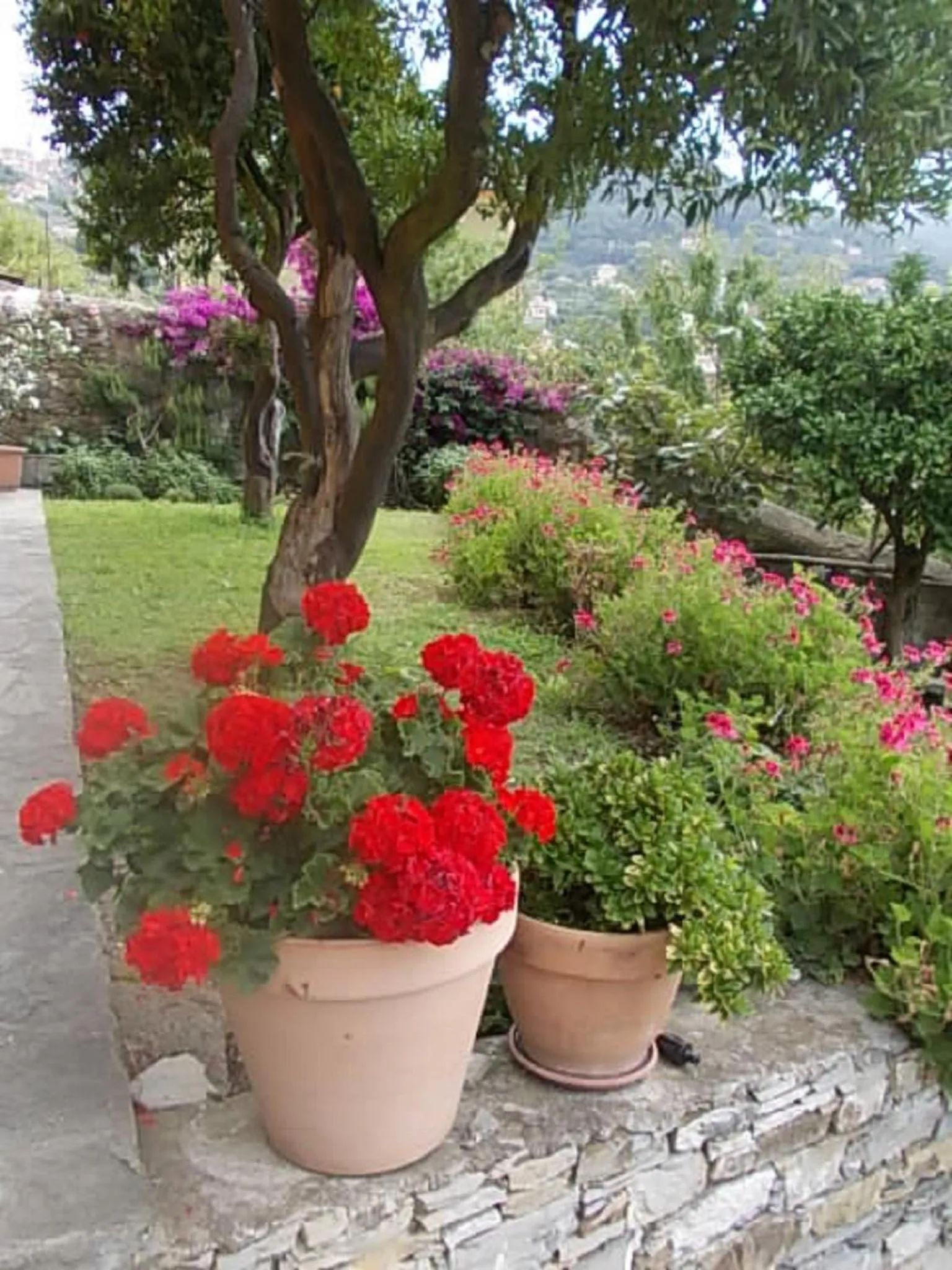 Garden in Le Clementine B&B