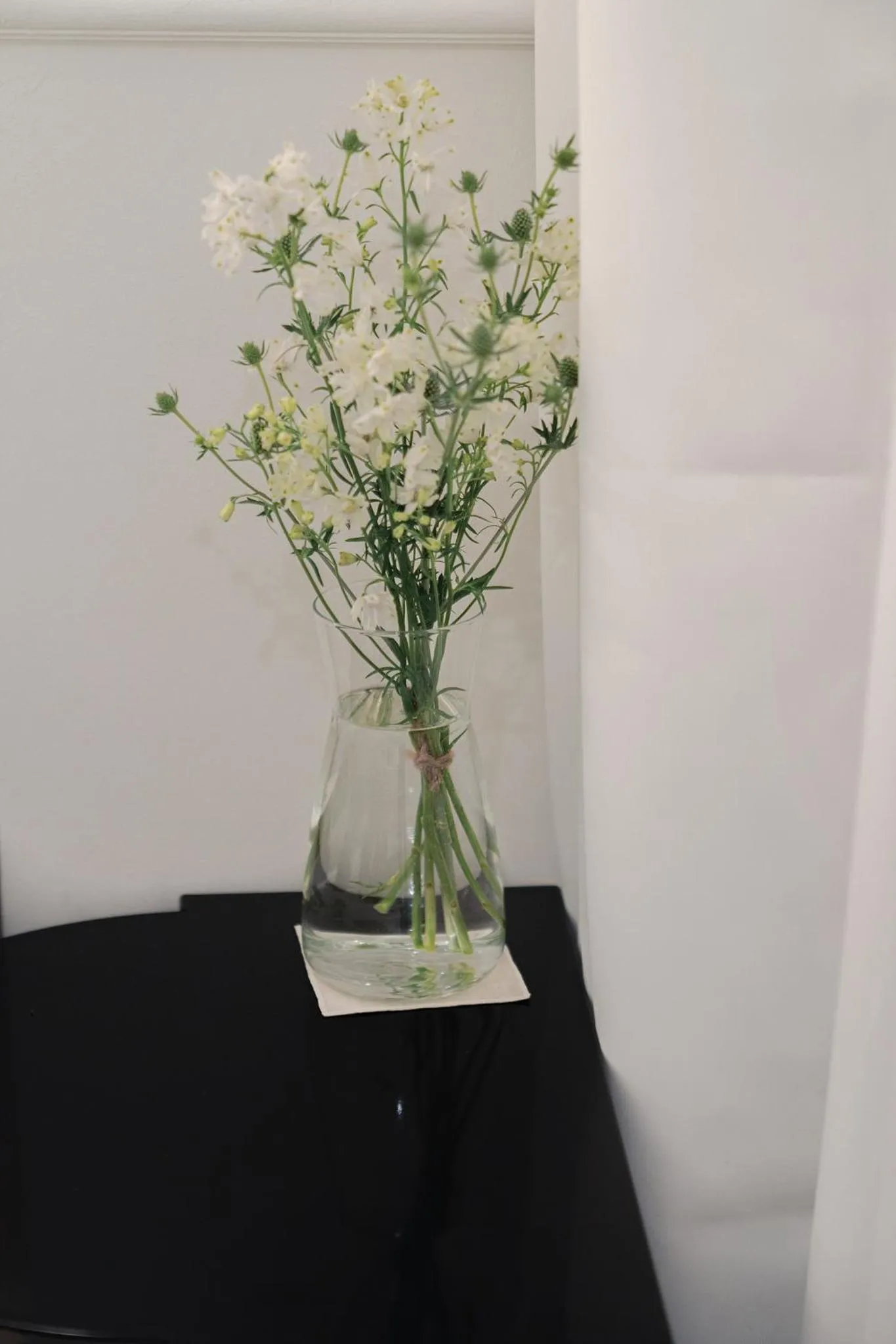 The Phase Boutique Hotel 동대문