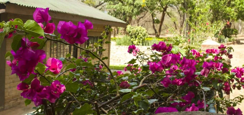 Decorative detail in Woodlands Lilongwe