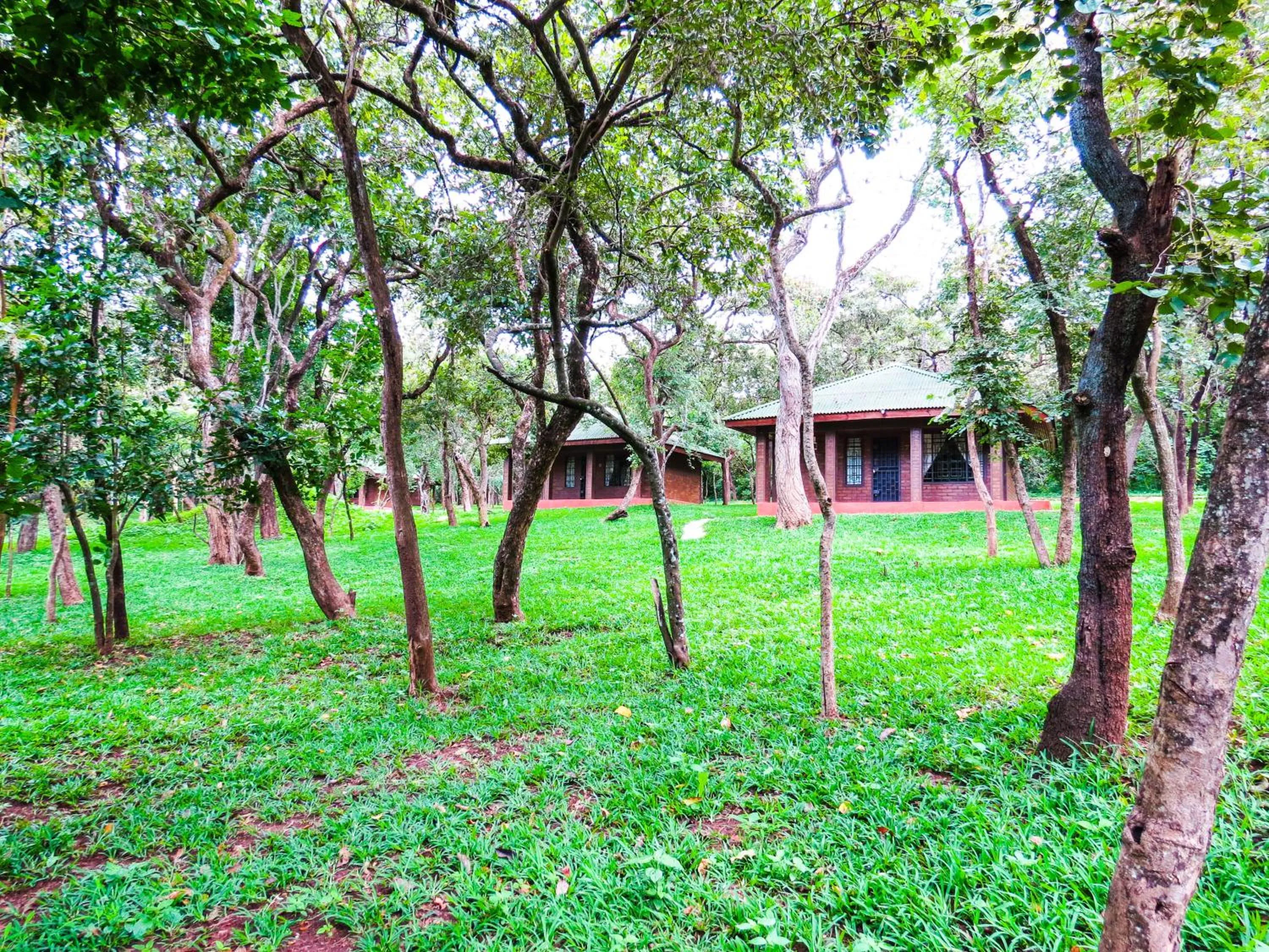 Garden in Woodlands Lilongwe
