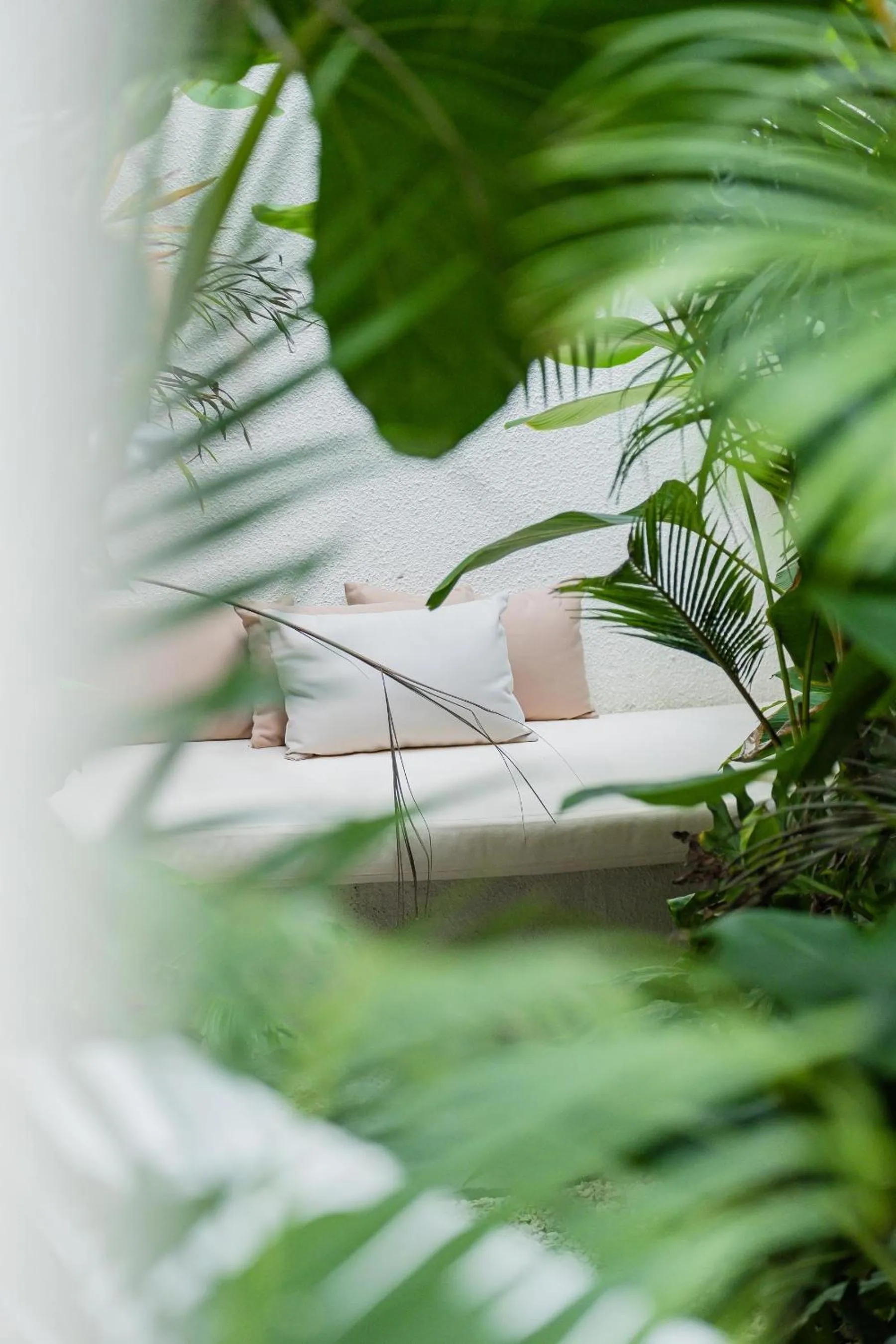 Garden in Mazari Villas