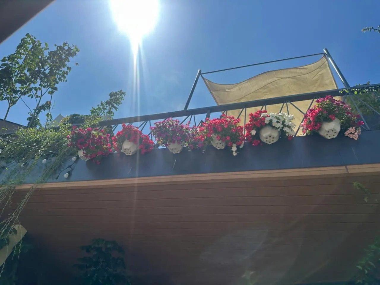 Natural landscape in Vanilla Ho Tram Homestay