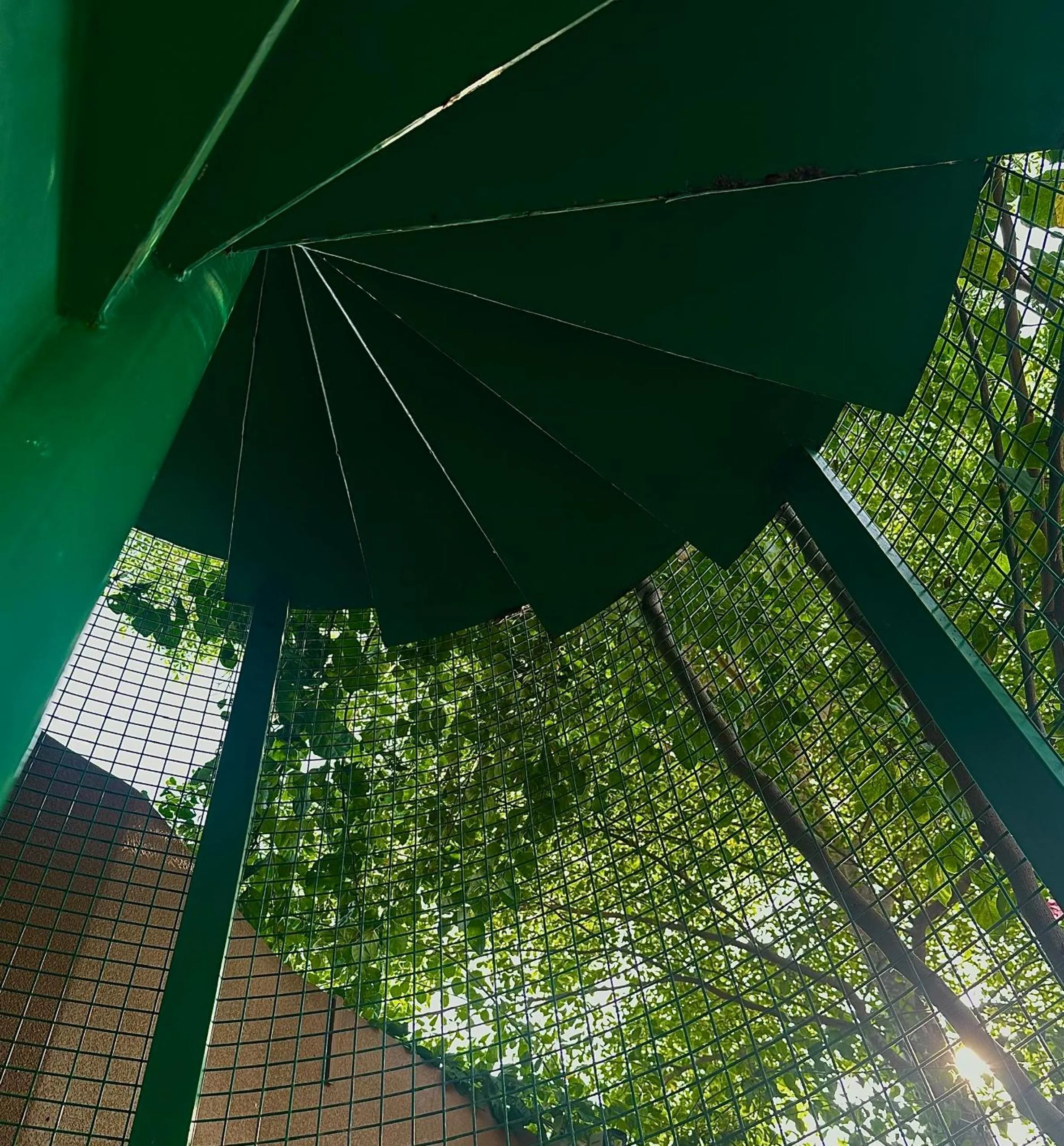 On site in Vanilla Ho Tram Homestay