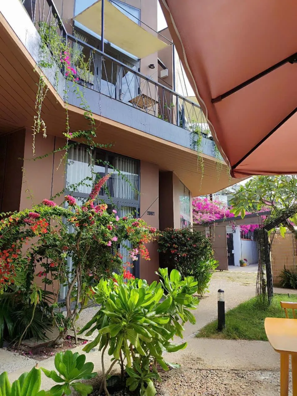 Natural landscape in Vanilla Ho Tram Homestay