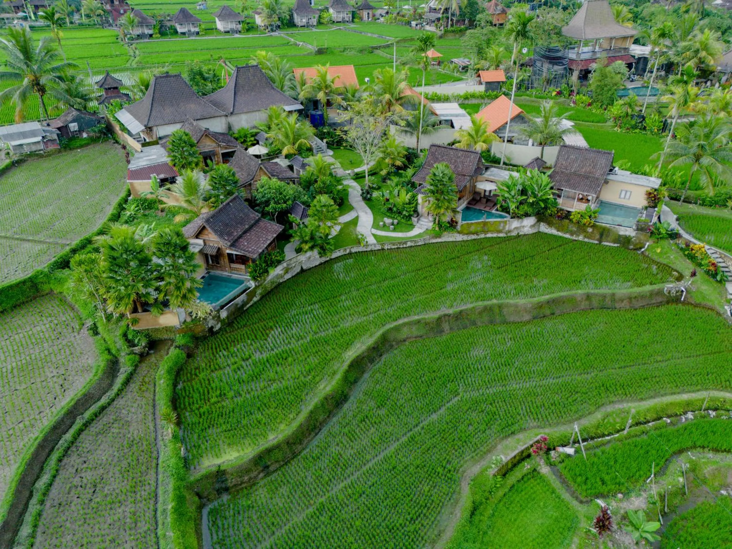 Natural landscape in Taksu Sebatu Villa by Dhananjaya Hospitality