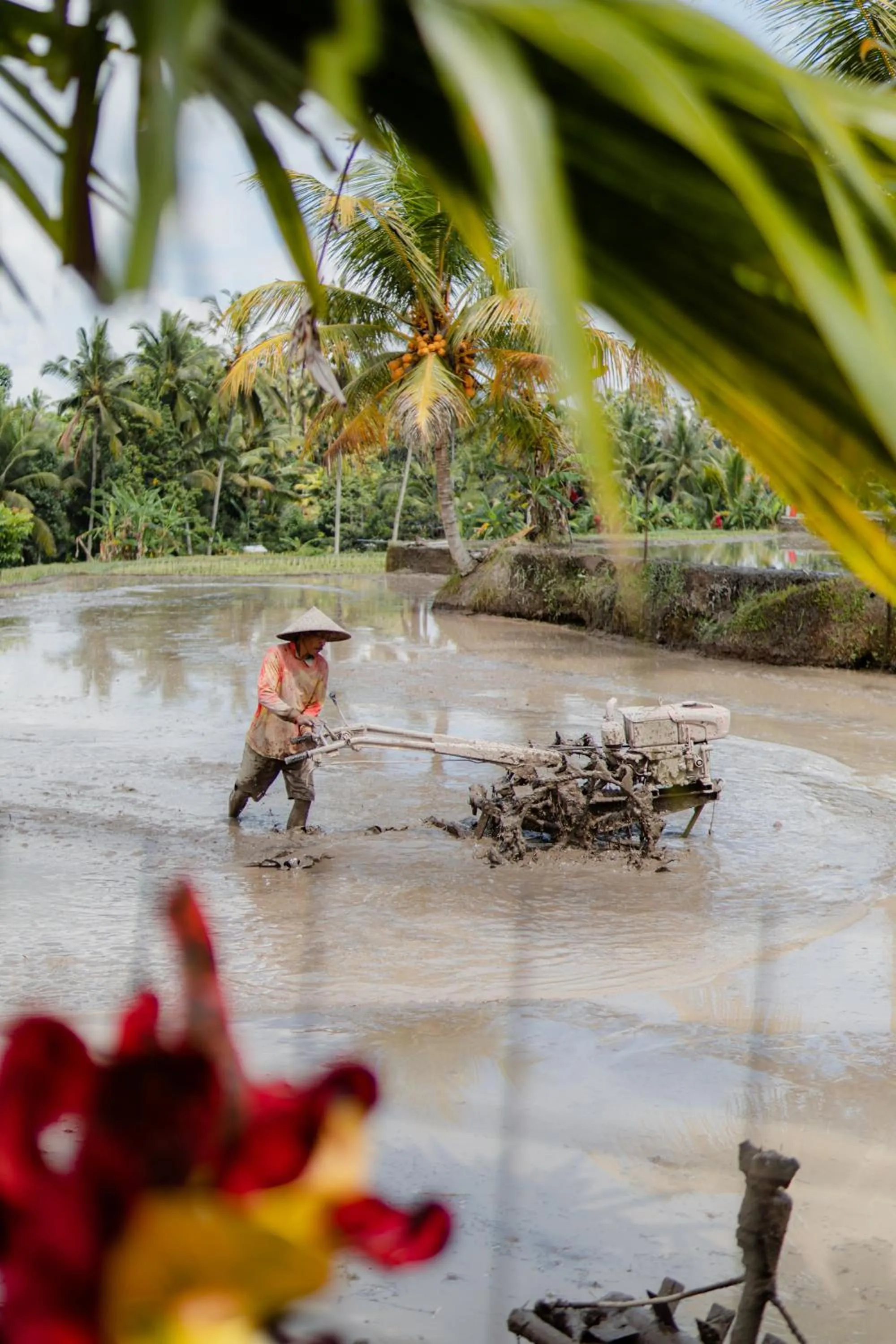Spring in Taksu Sebatu Villa by Dhananjaya Hospitality