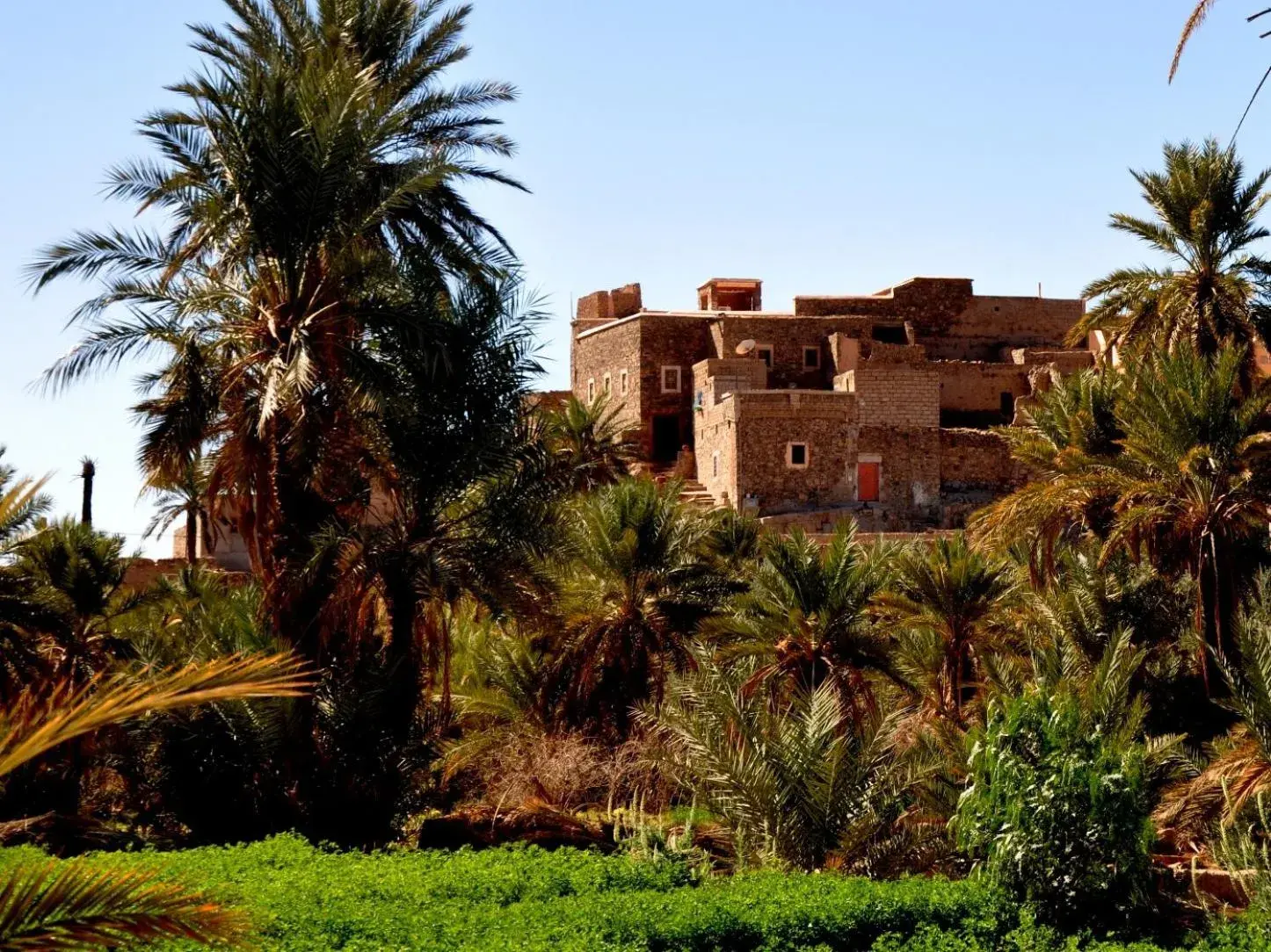 DAR INFIANE Tata DAR INFIANE Tata