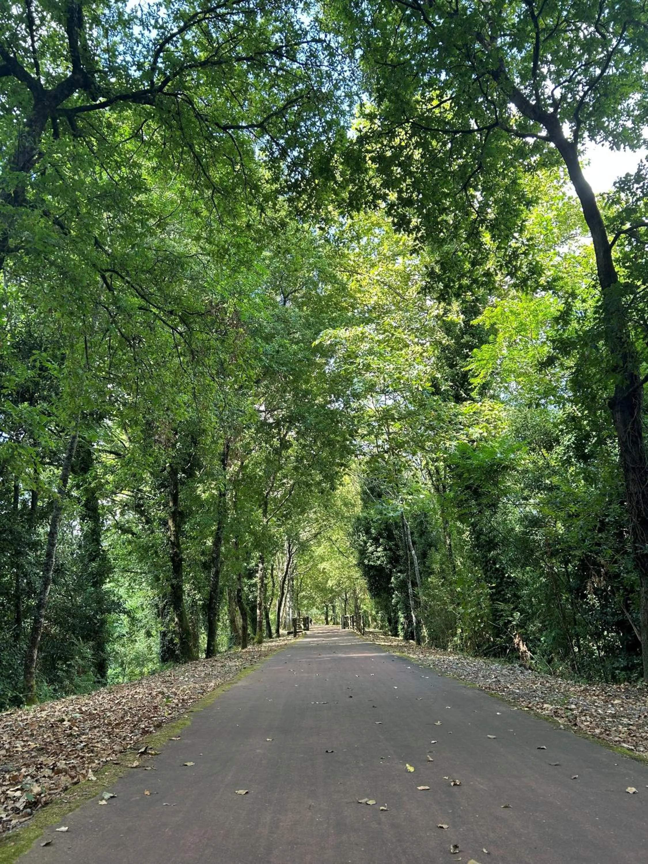 View (from property/room) in Hotel Alfonso I