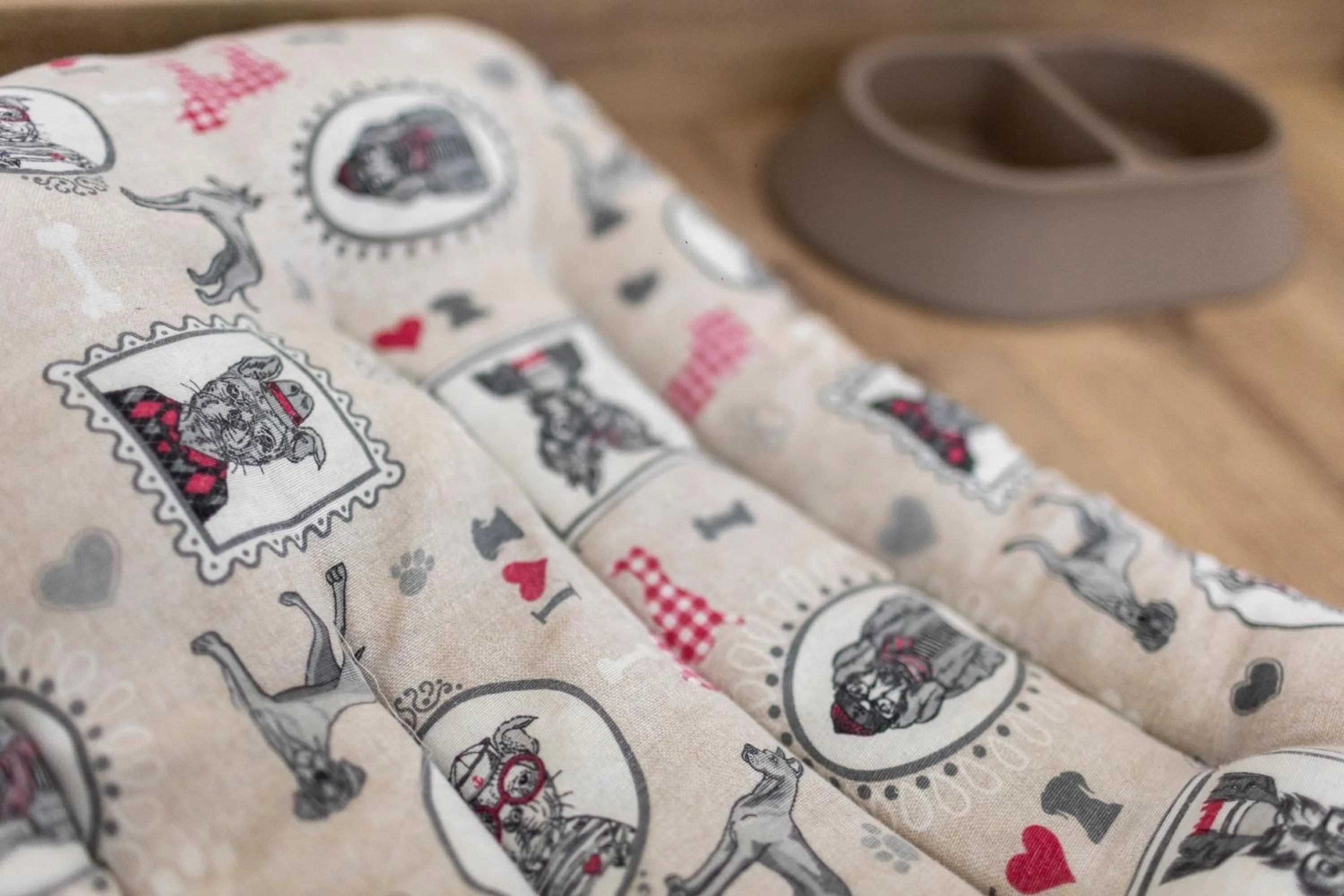 Pets in Hotel Alfonso I