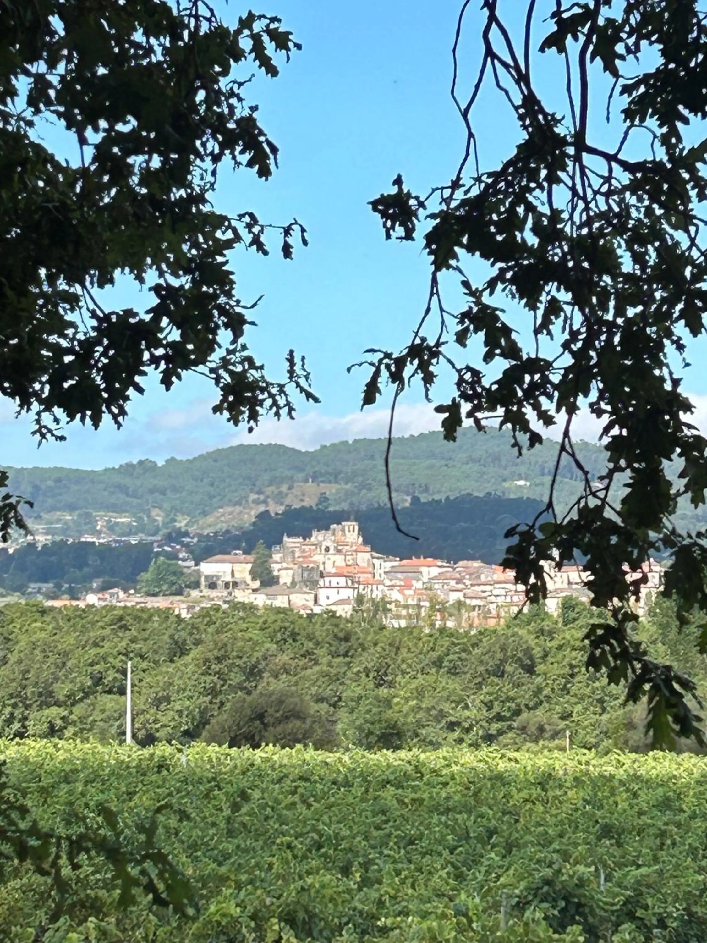 Hiking in Hotel Alfonso I