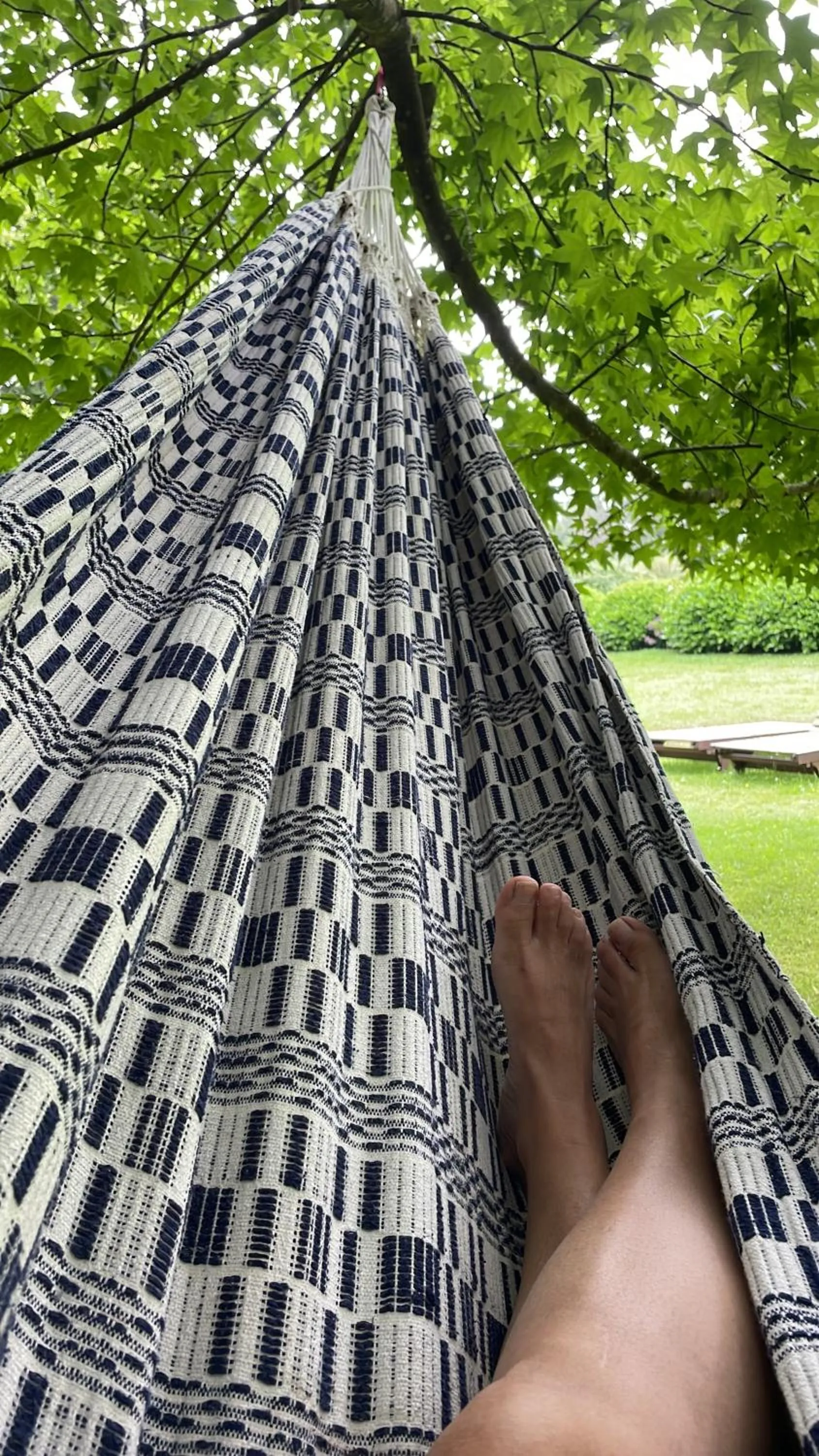 Garden view in Casa Doñano