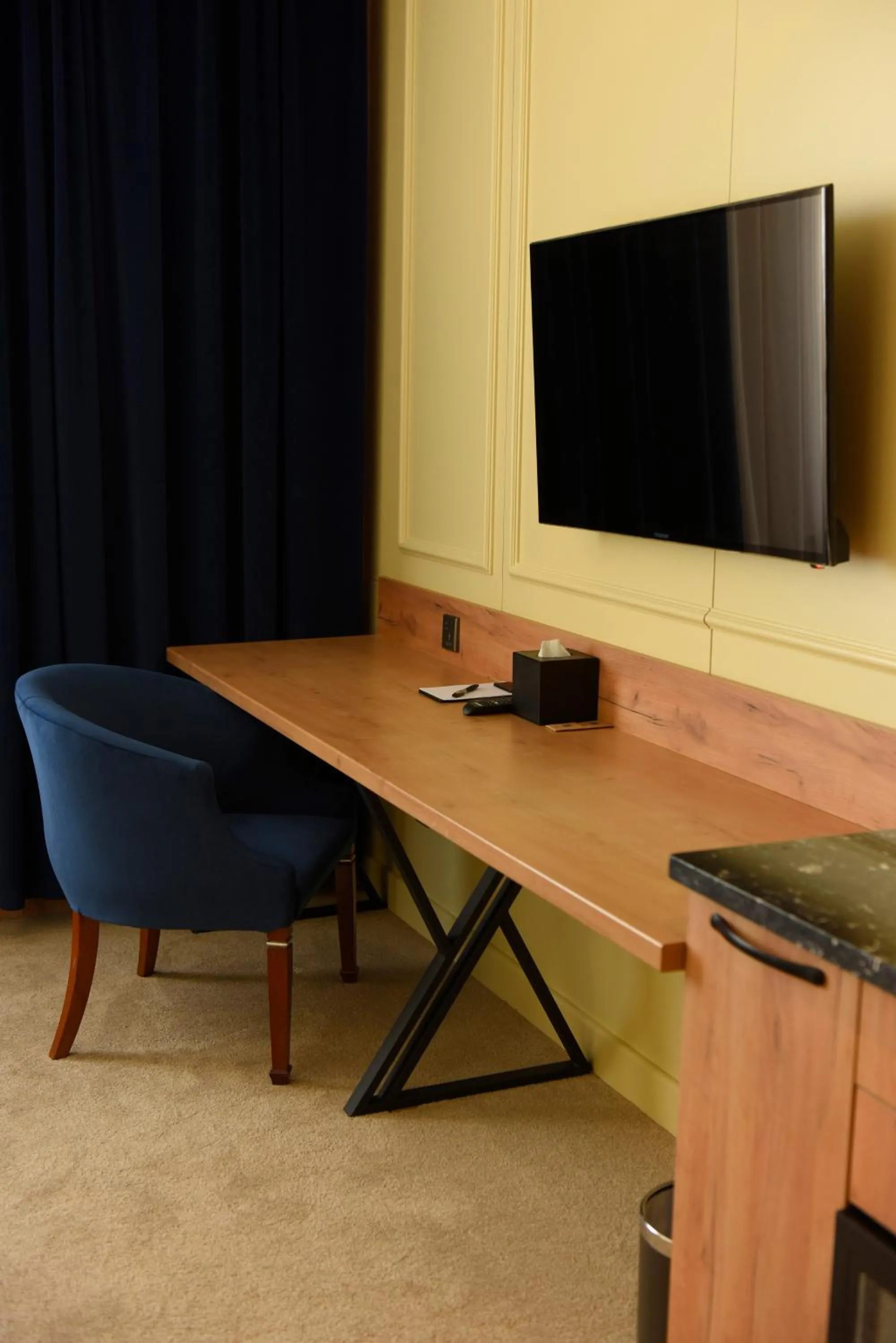 TV and multimedia in Ulaanbaatar Hotel